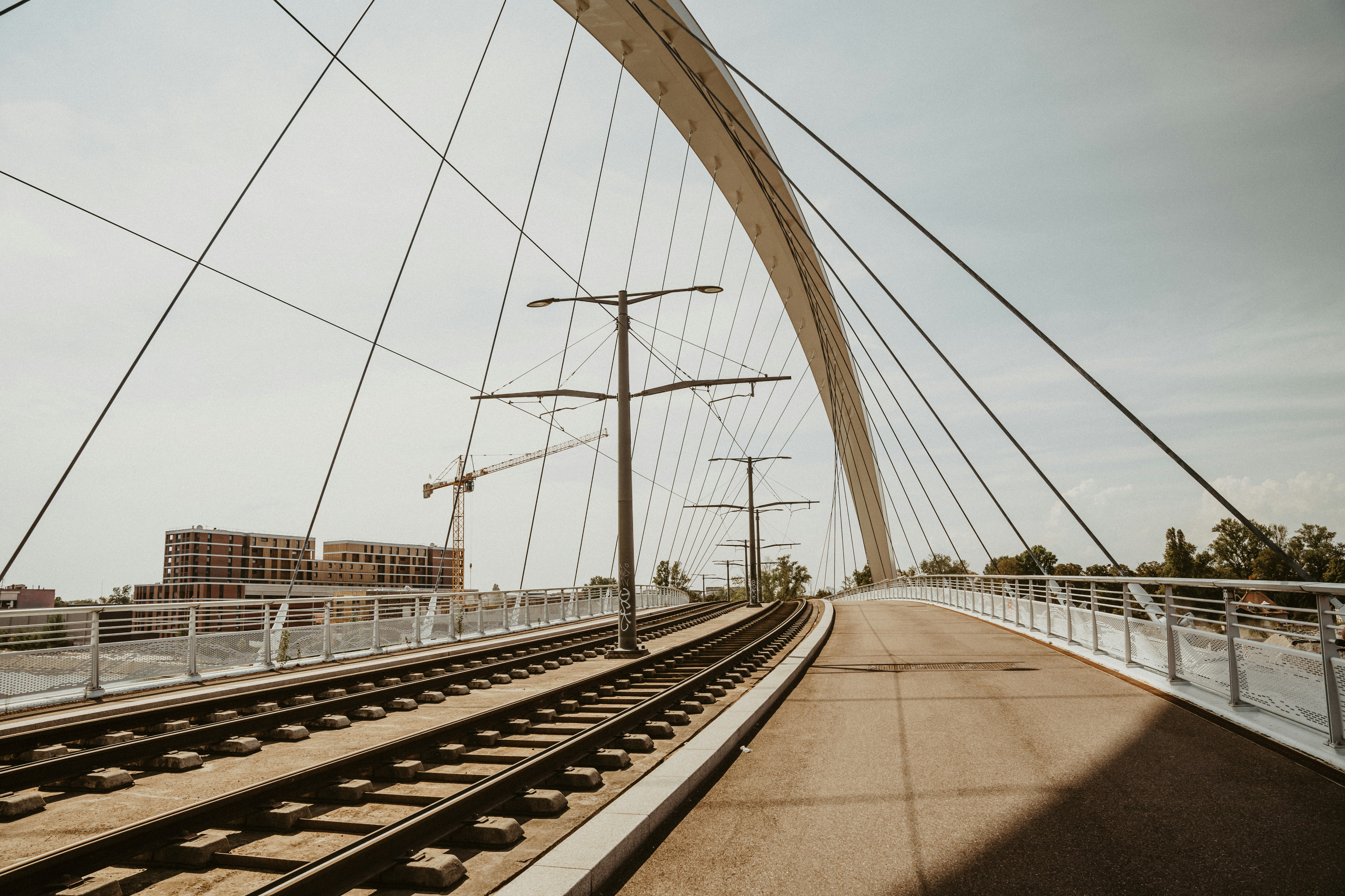 Photo by masoodaslami