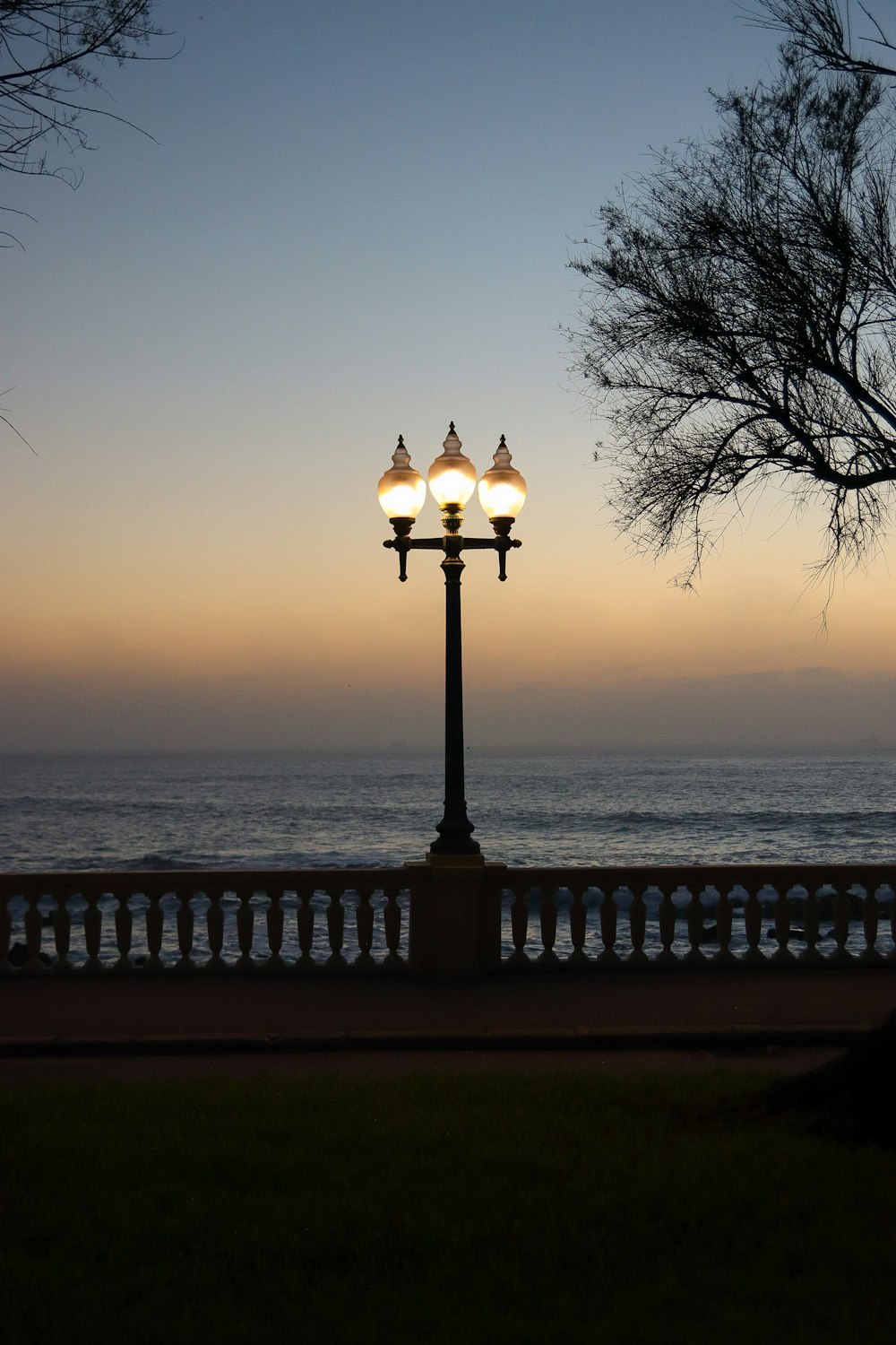 a street light sitting on the side of a road next to the ocean