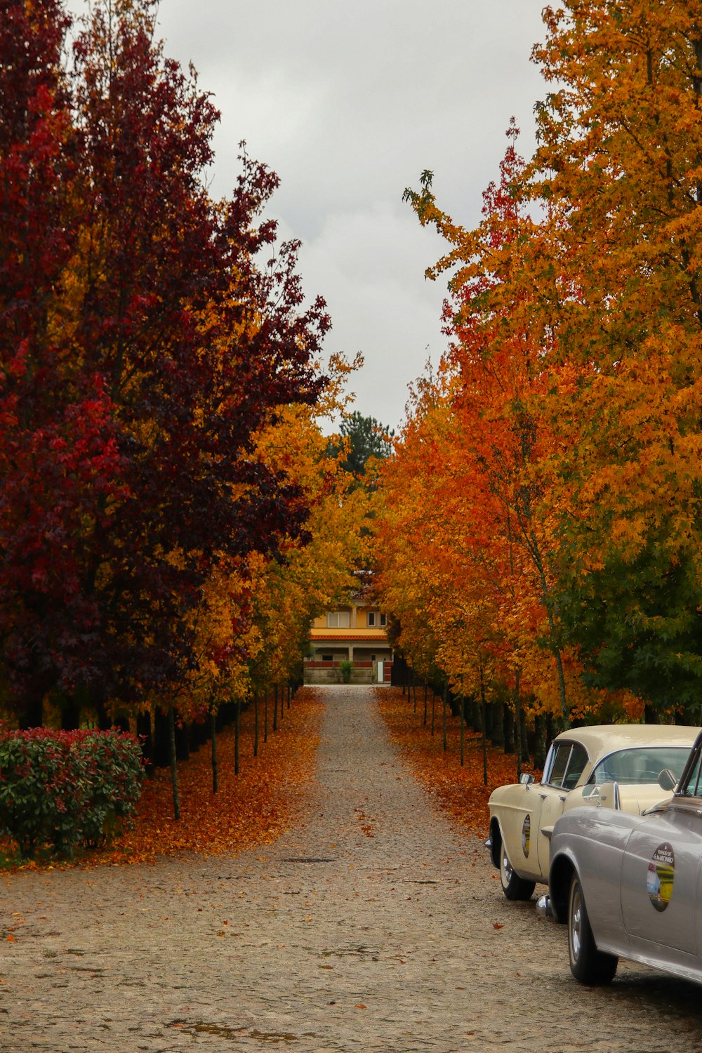 two cars parked on the side of a road