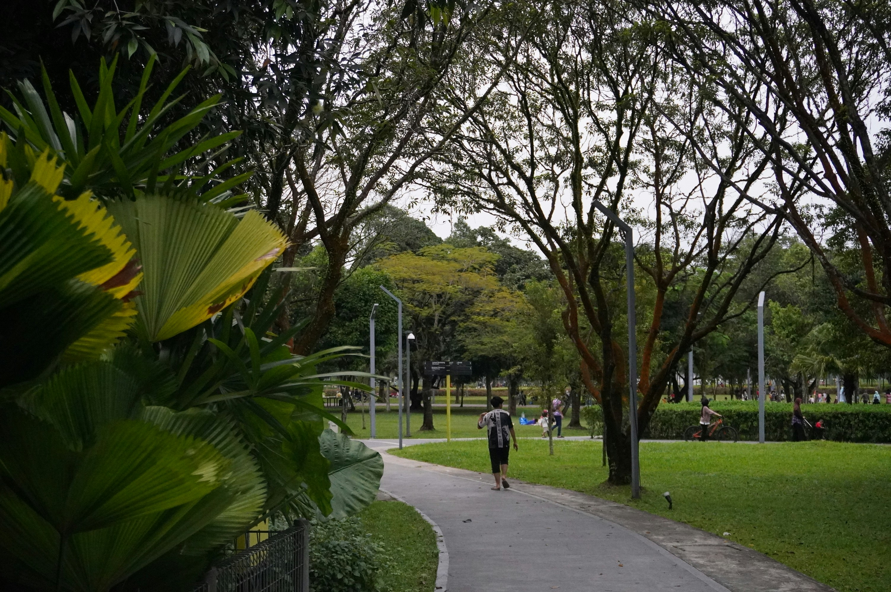 a person walking down a path in a park