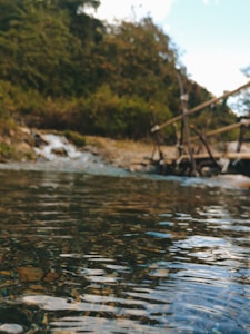 Calm Mind Meditation