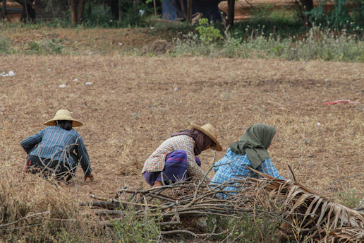 A group of children working in a sunlit agricultural field, wearing hats and protective clothing.