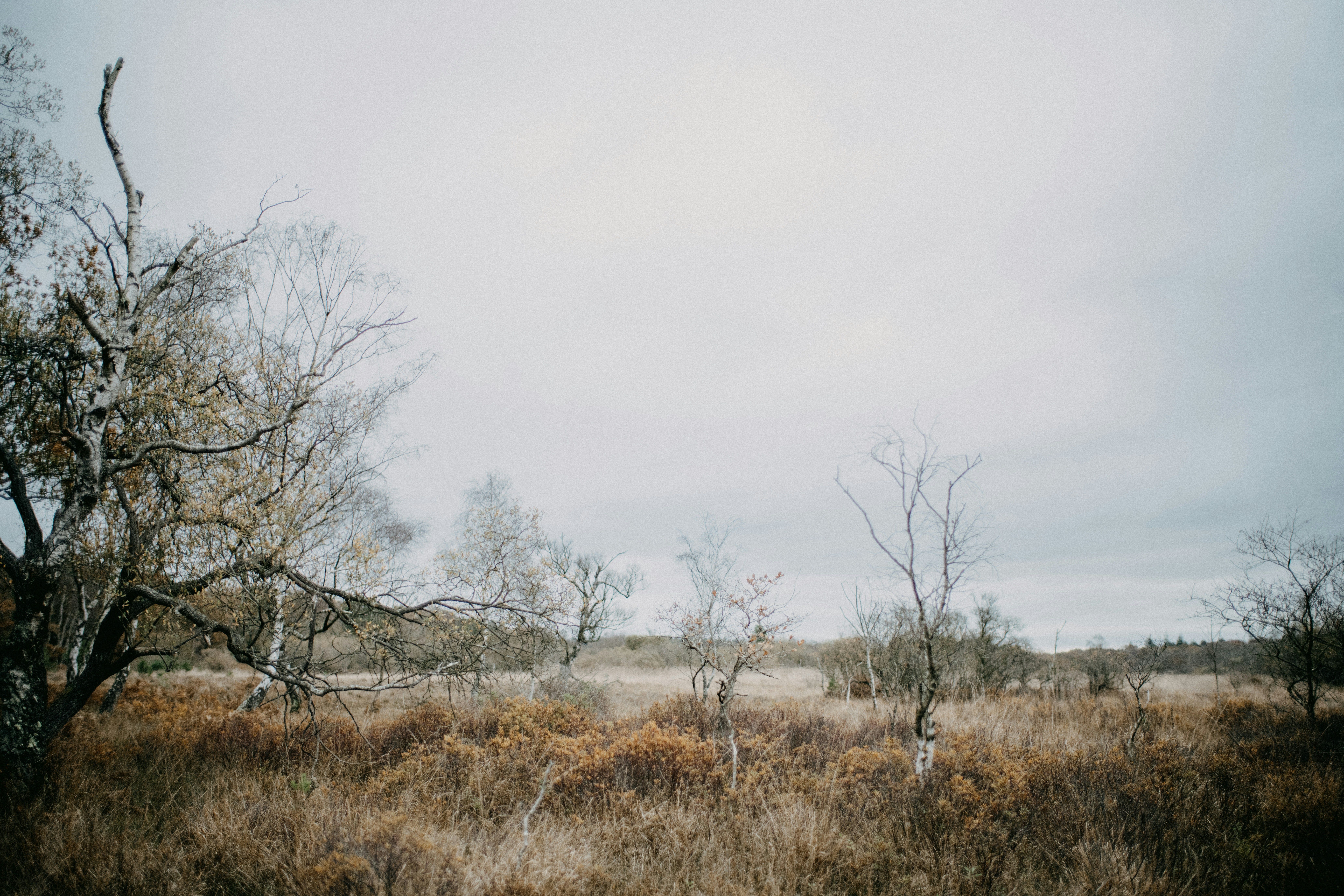 Photo by anniespratt