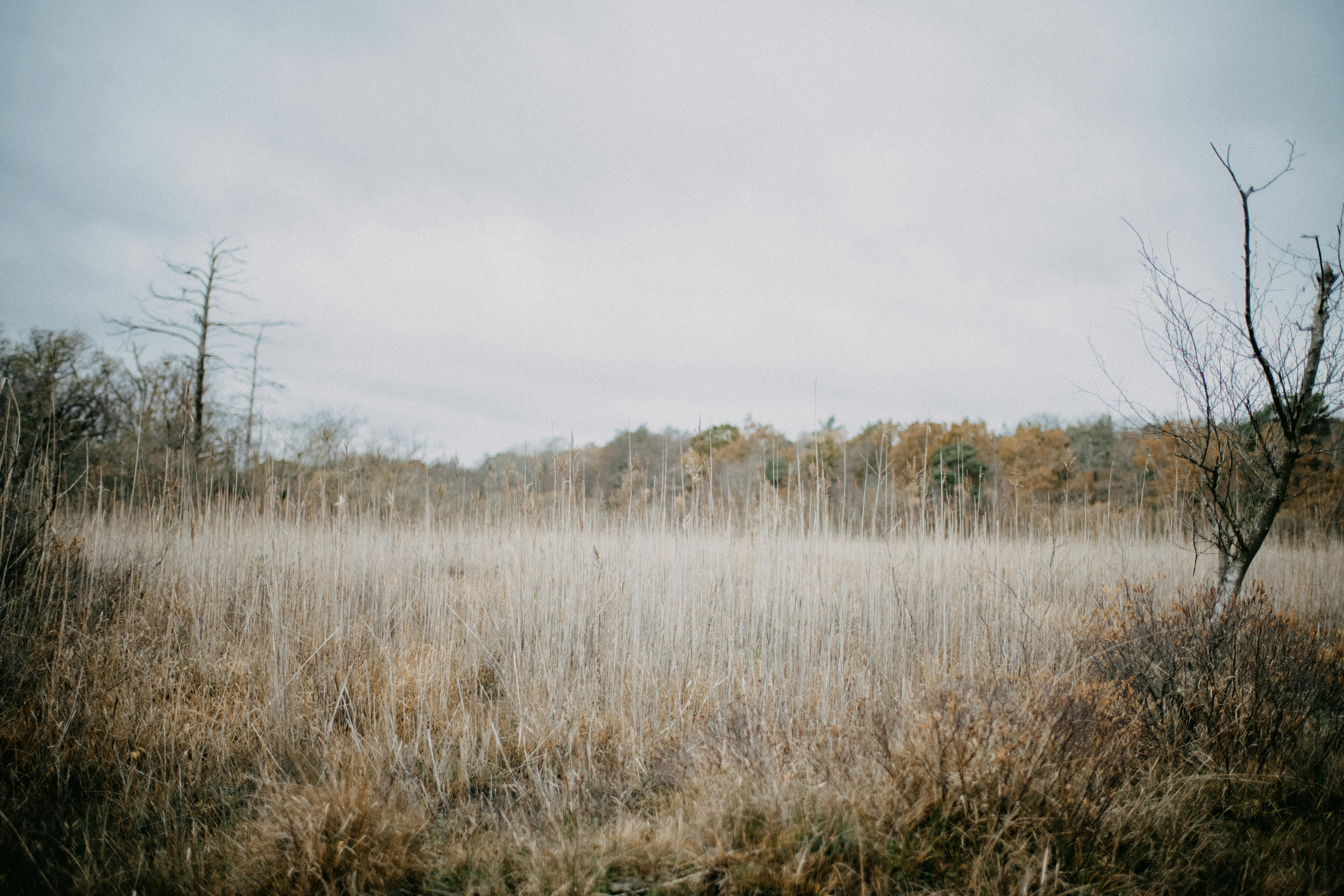 Photo by anniespratt