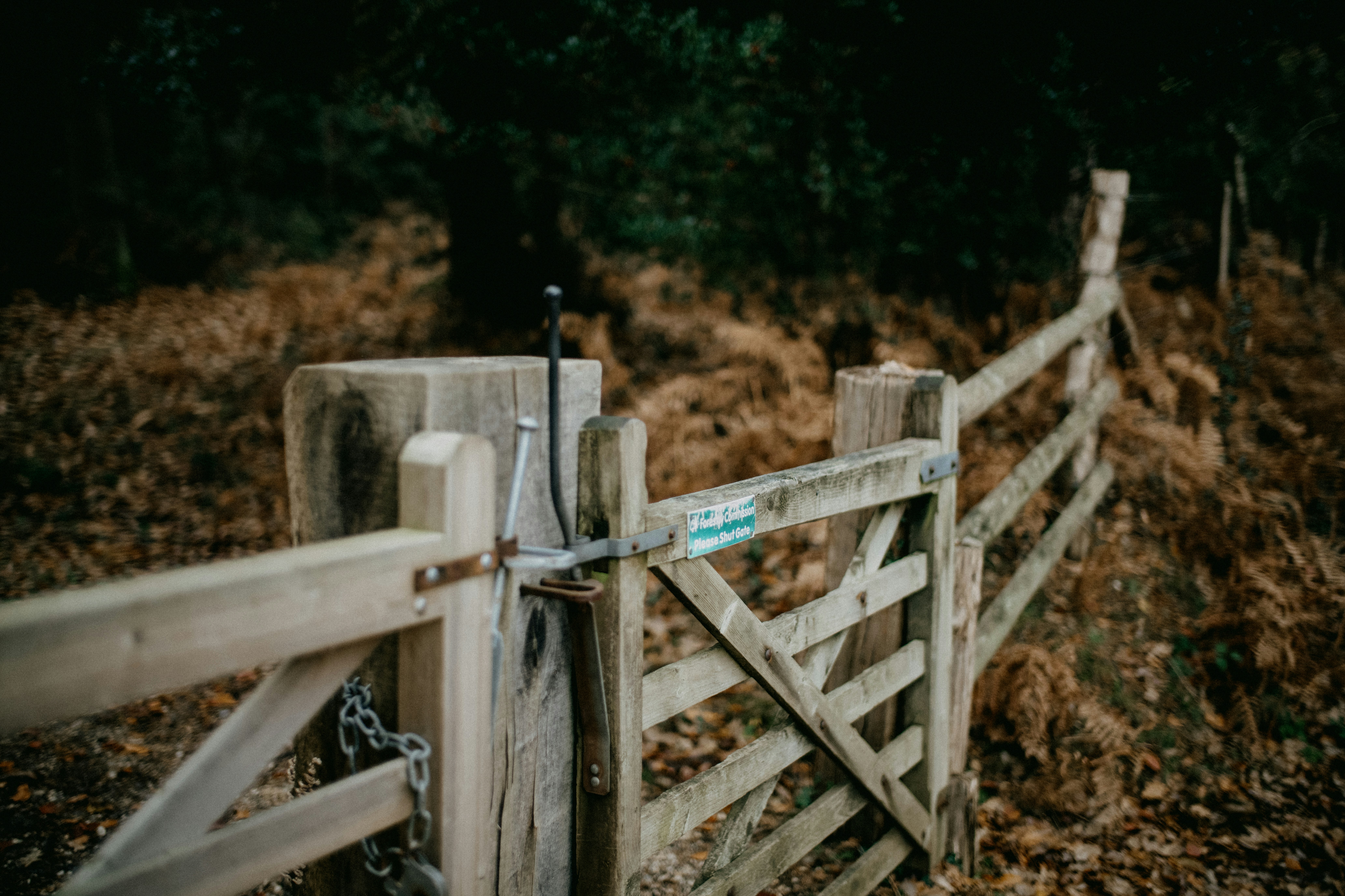 Photo by anniespratt