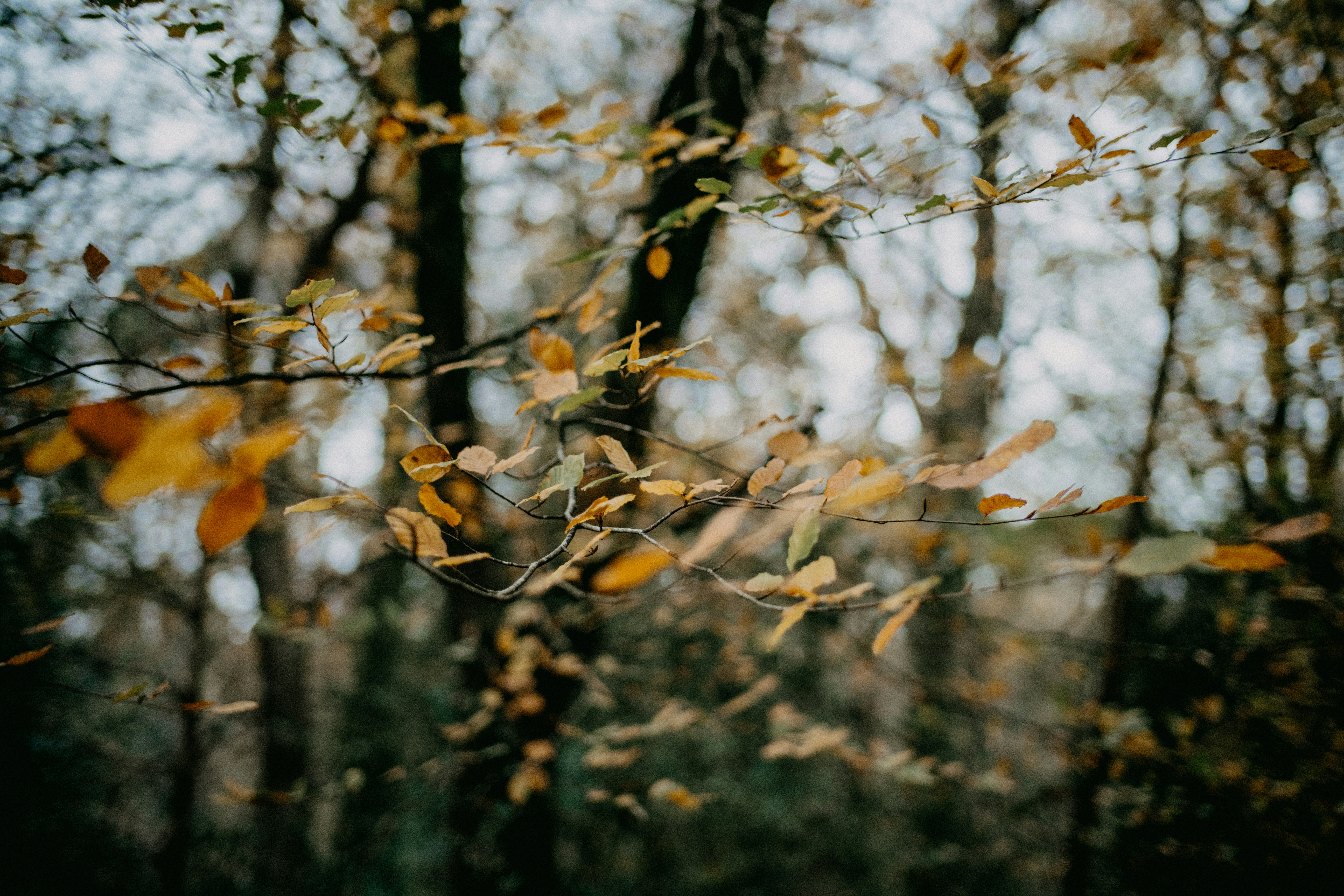 Photo by anniespratt