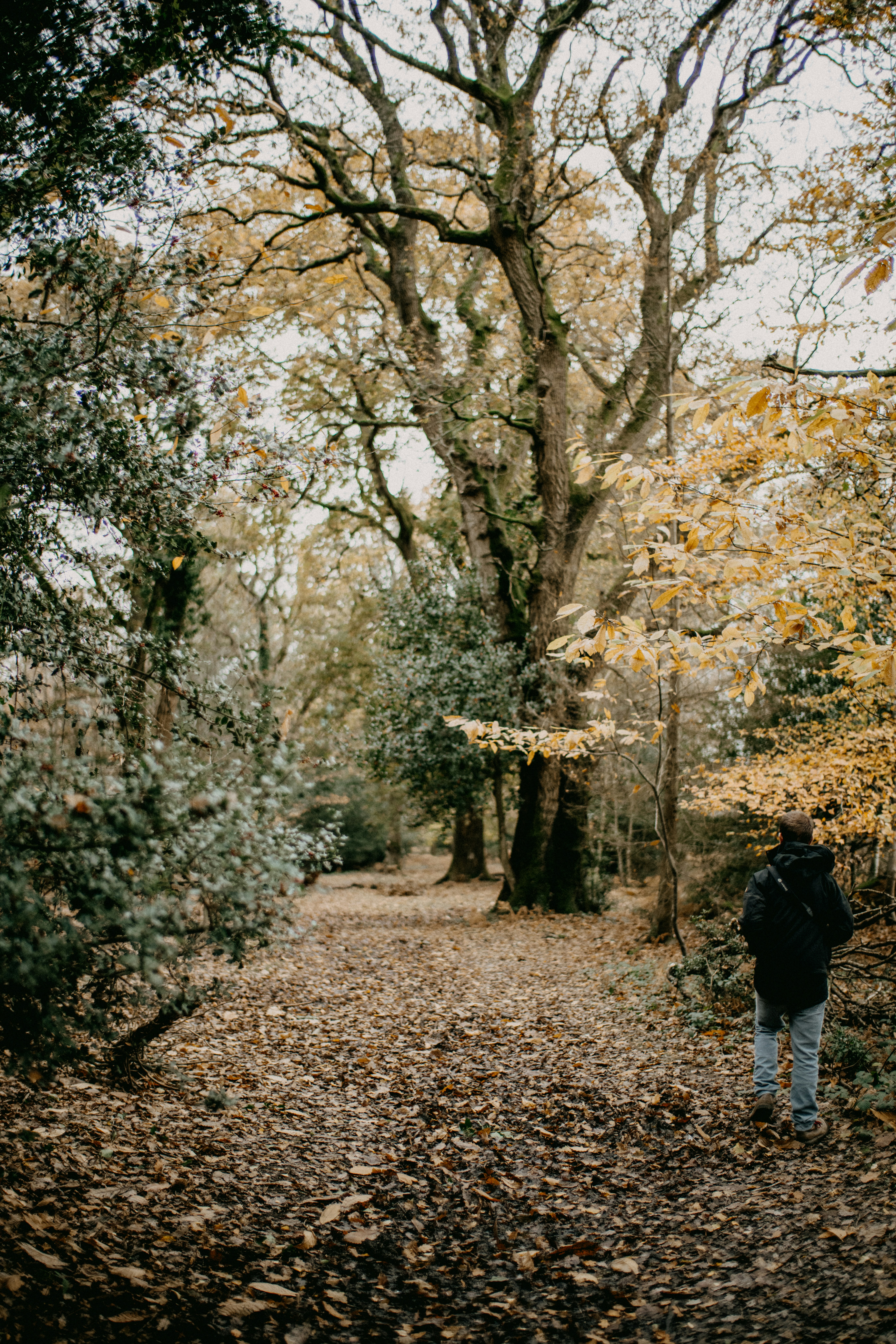 Photo by anniespratt