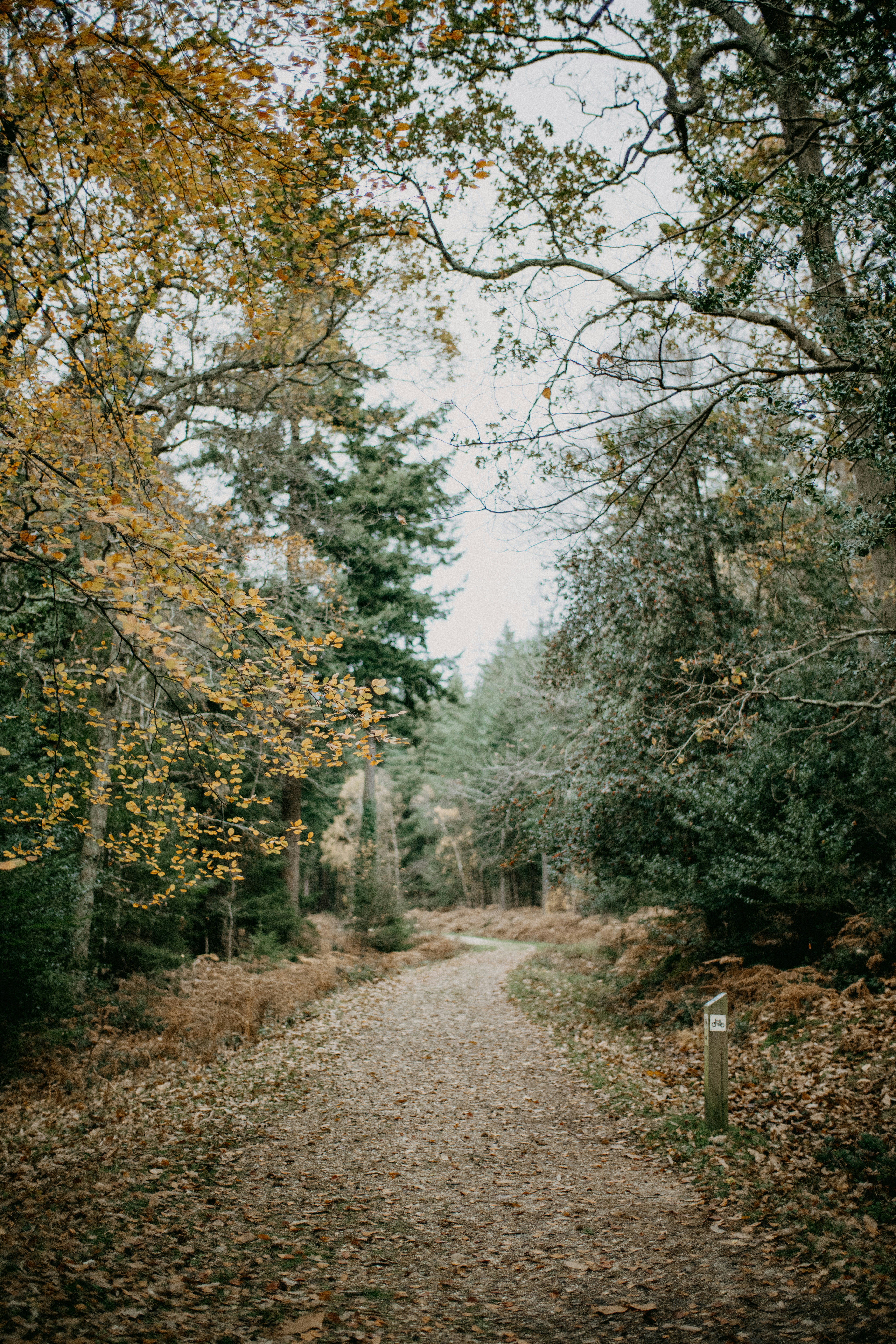 Photo by anniespratt