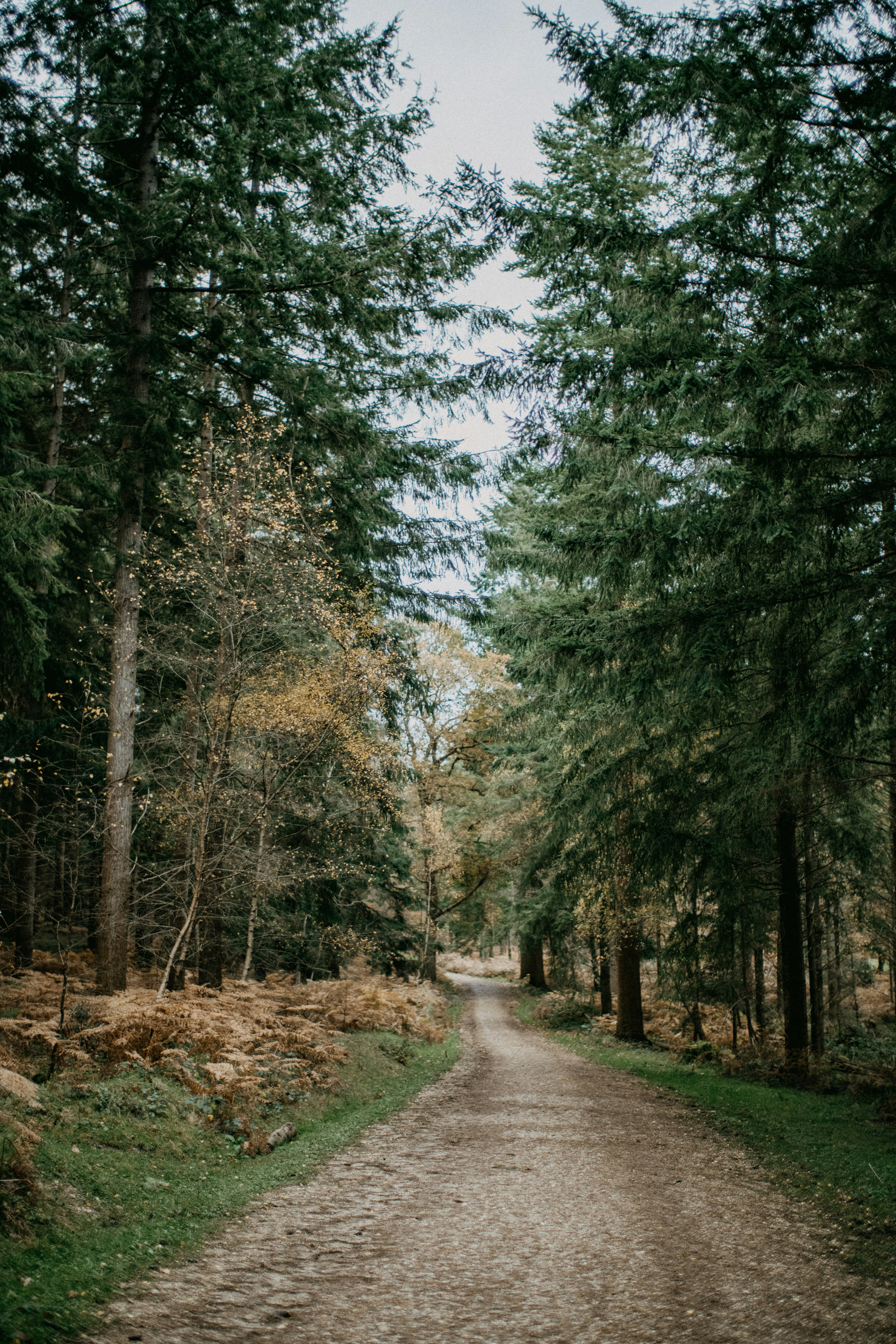 Photo by anniespratt