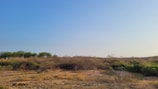 A dry, arid landscape of the Patagonian steppe with sparse bushes and a wide horizon