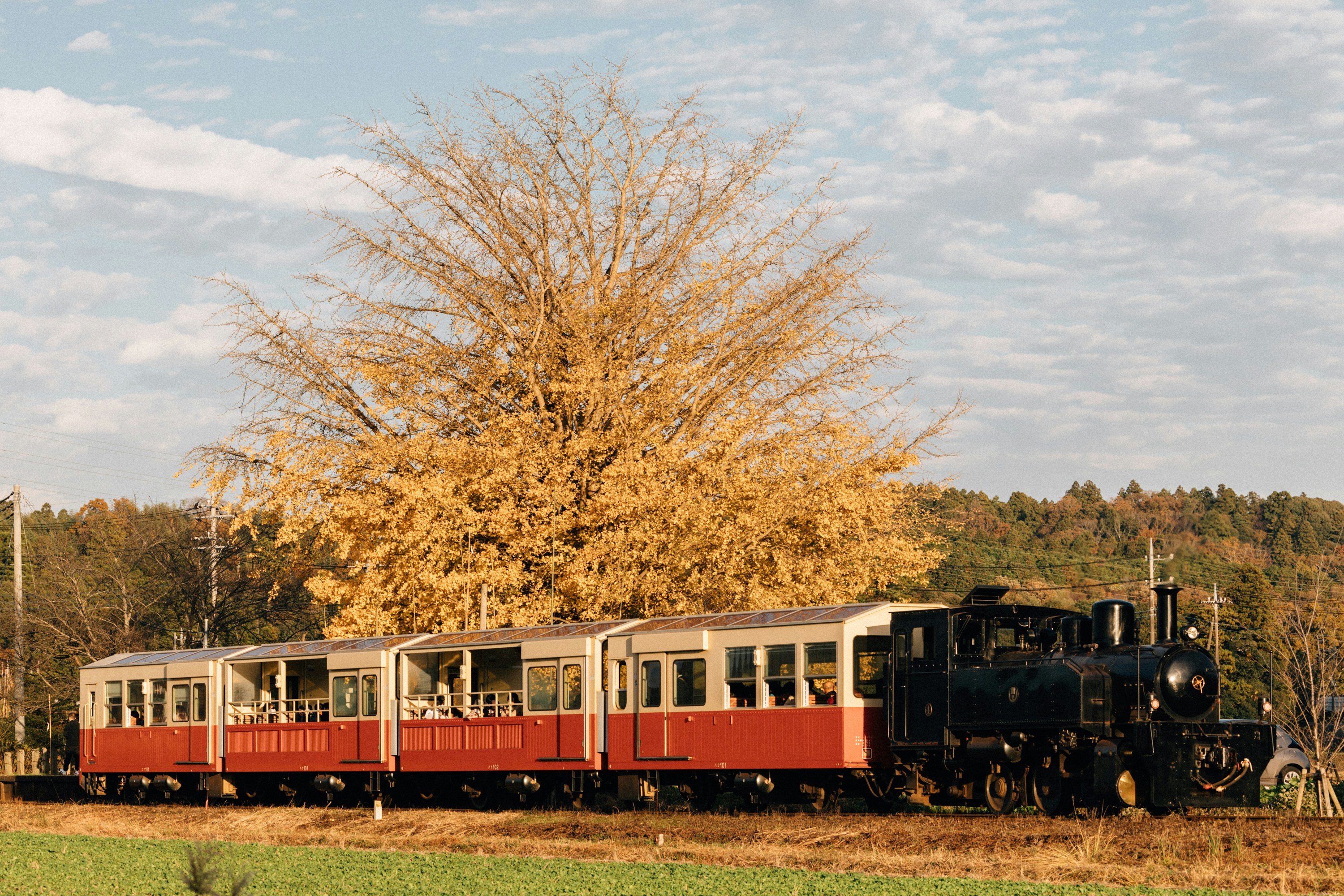 Photo by tsuyoshikozu