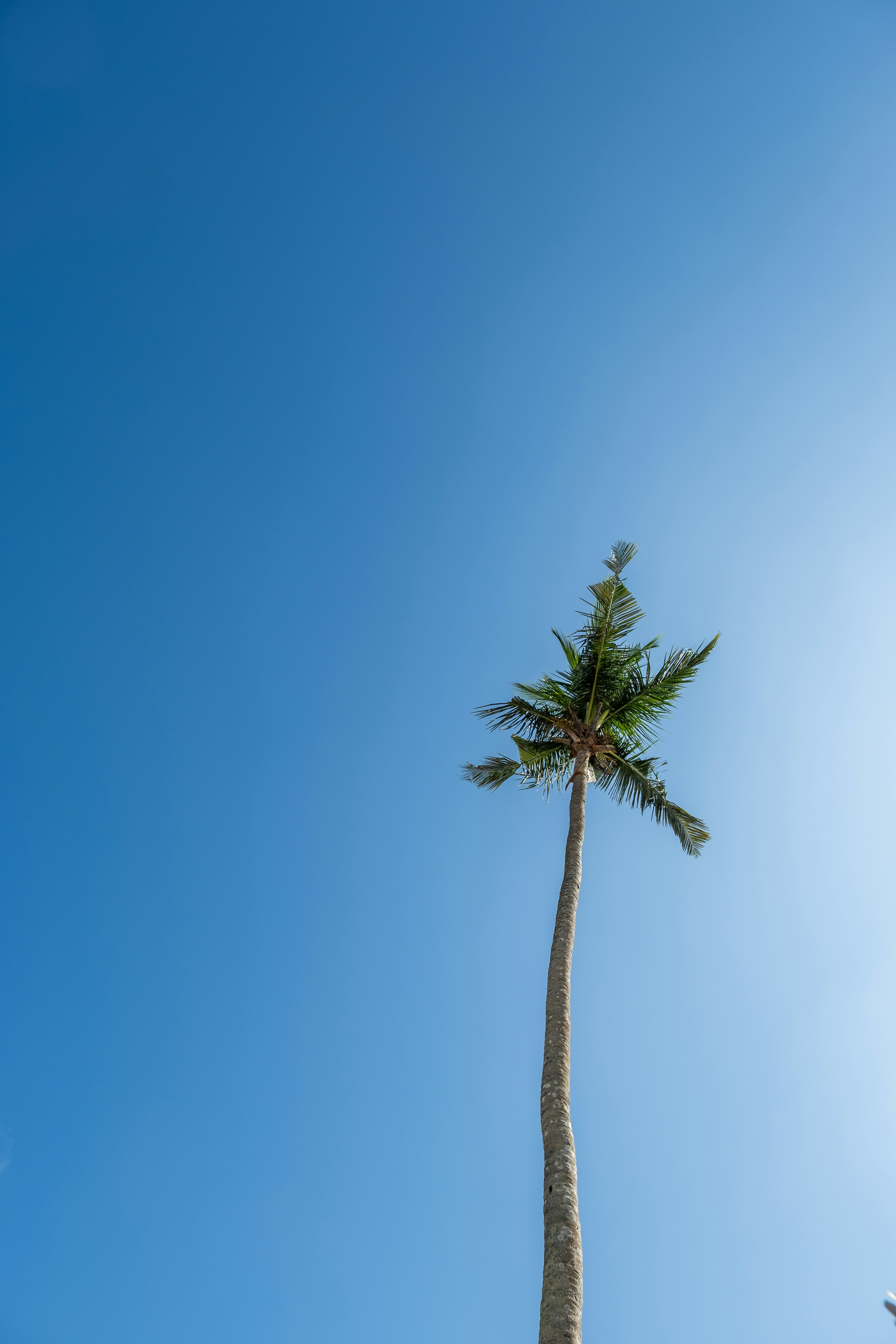 Photo by oliverschmid