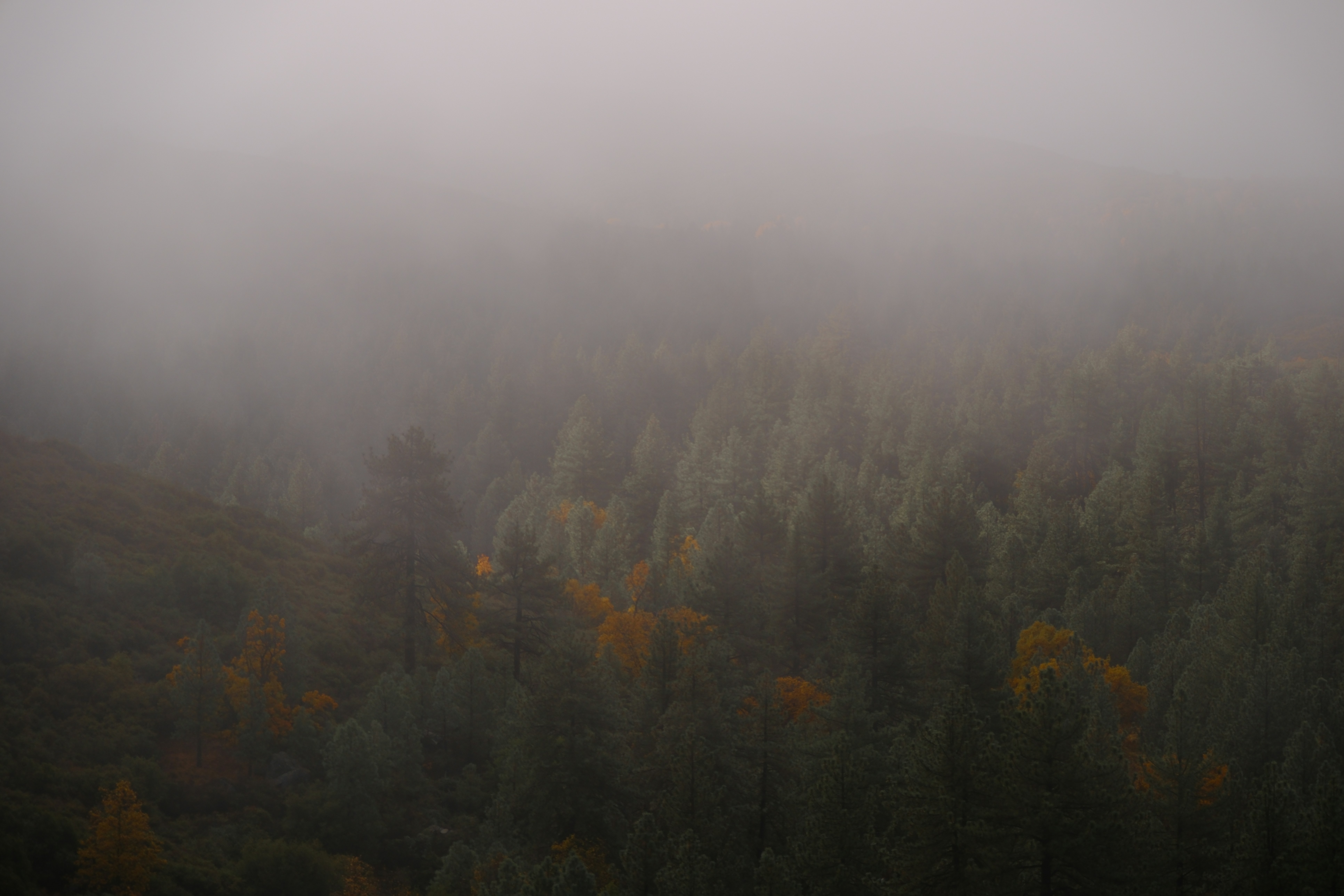 Photo by cestmoisheedy