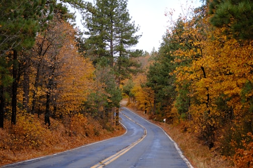 A winding country road lined with autumn trees and a vintage roadside diner.