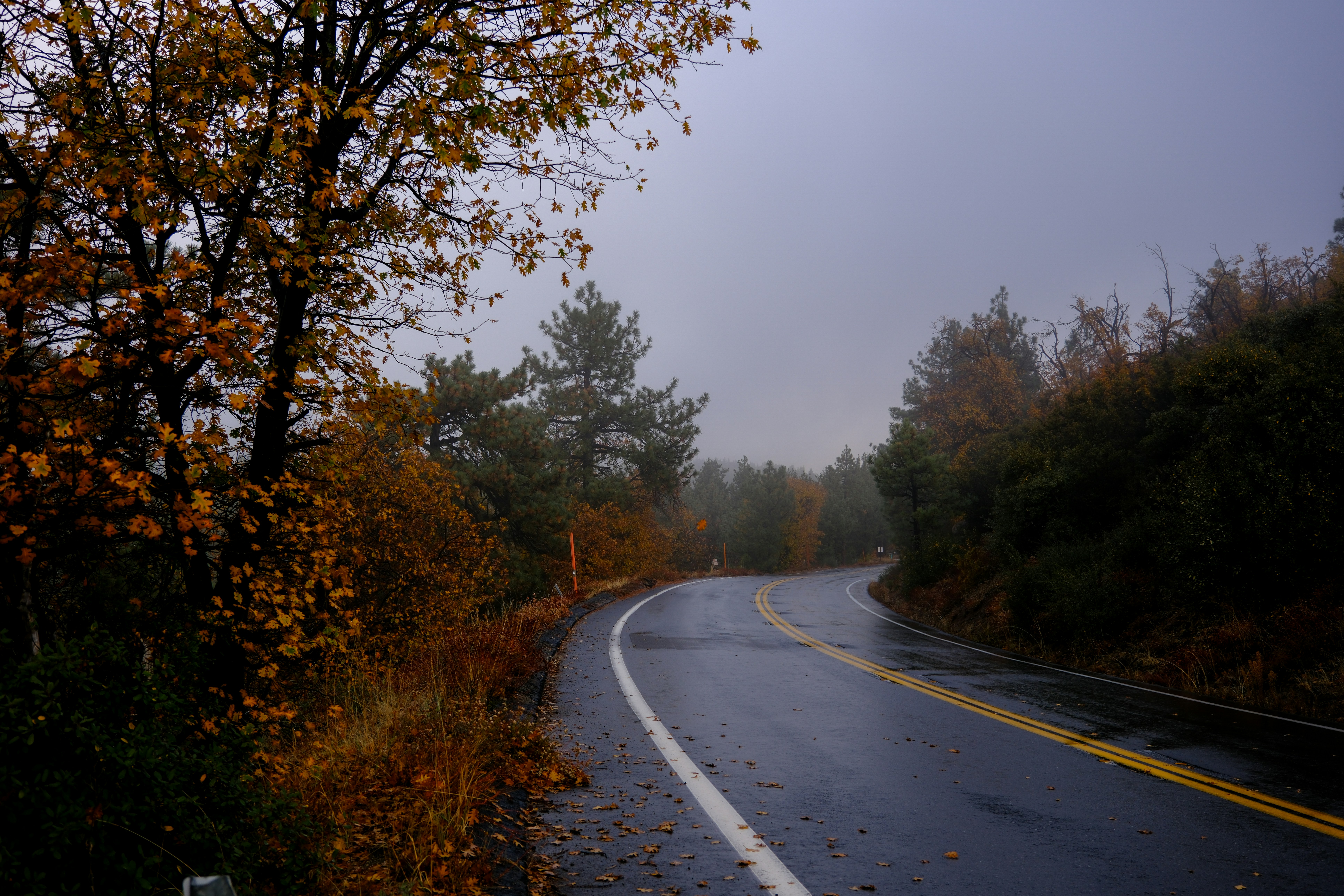 Photo by cestmoisheedy