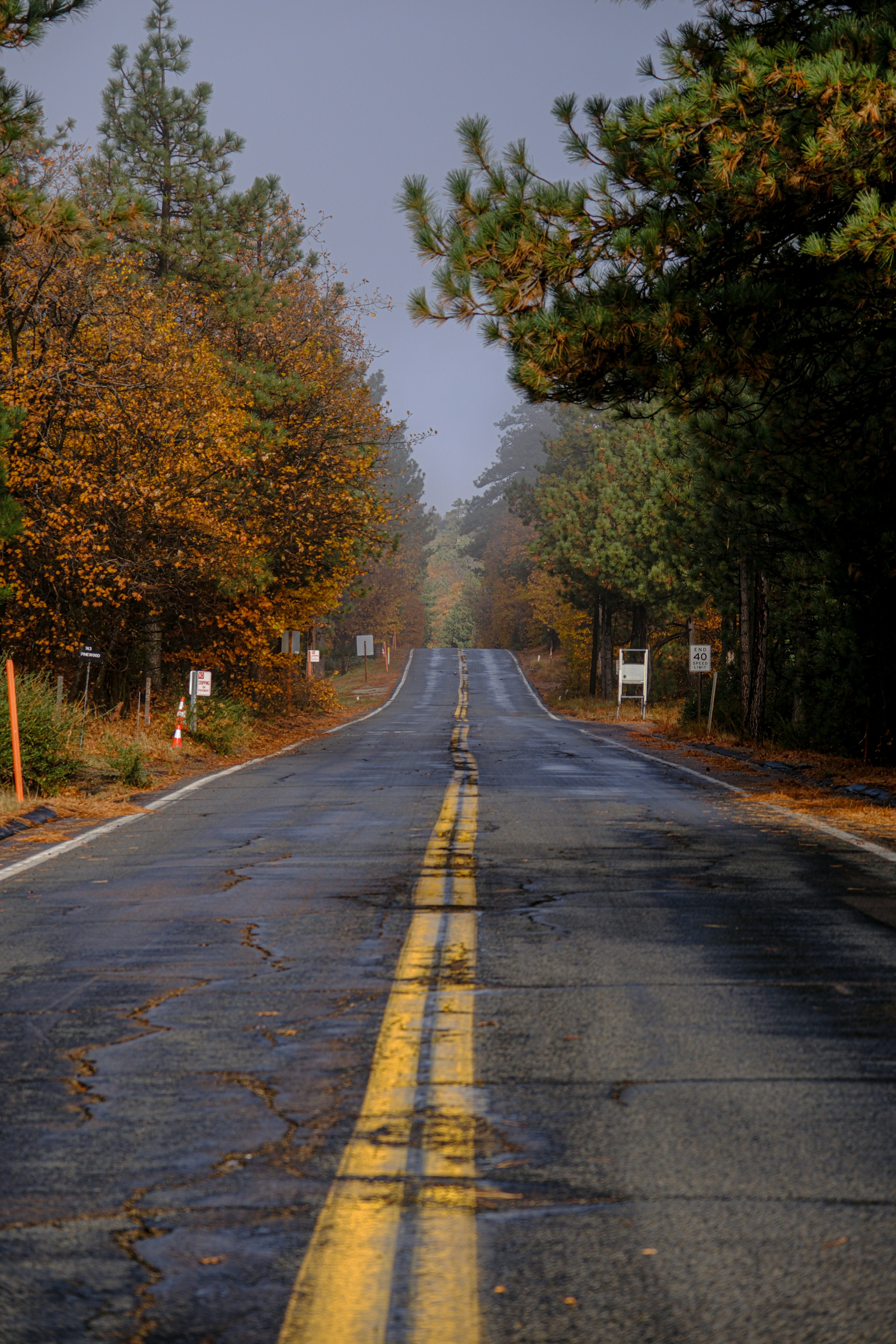 Photo by cestmoisheedy