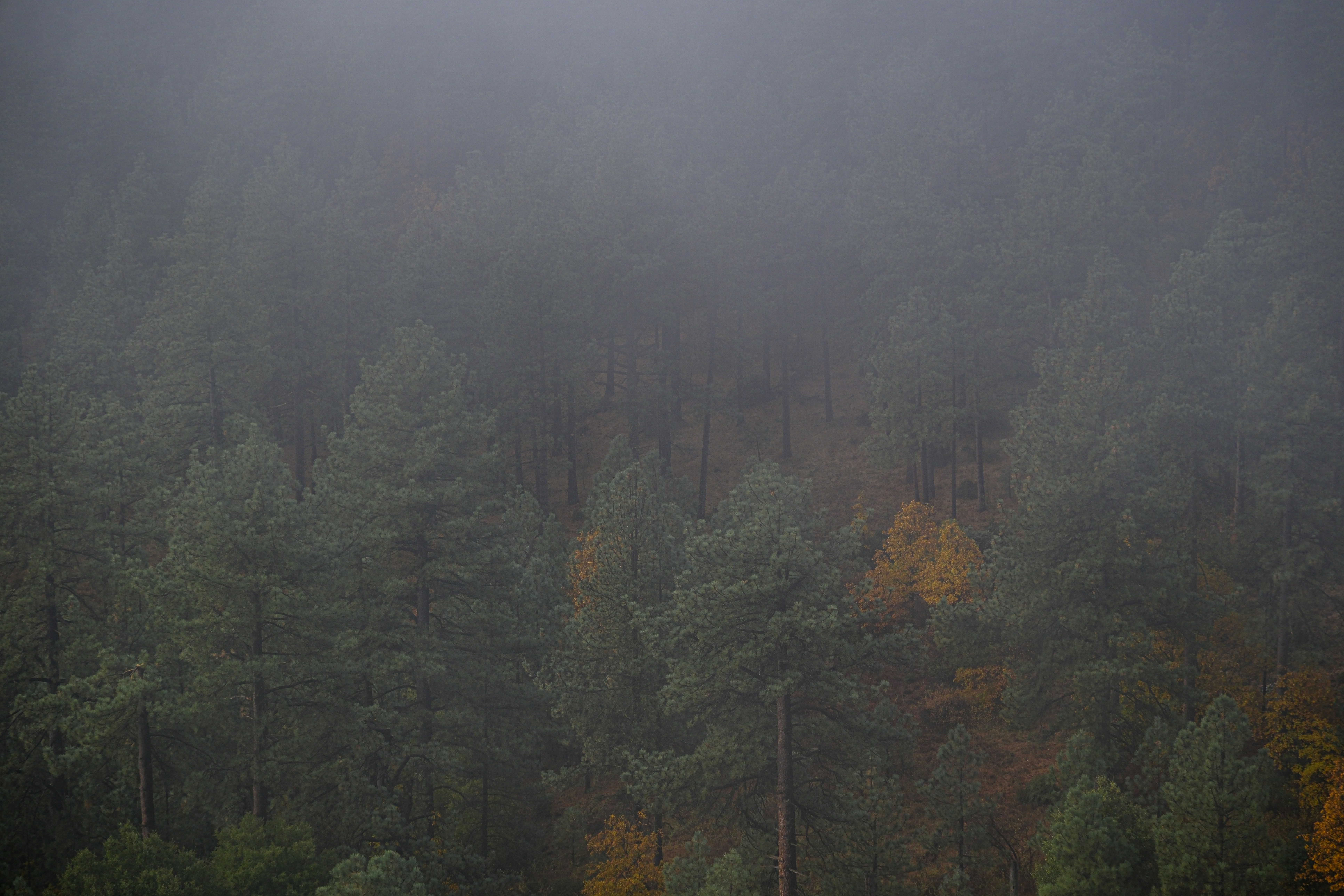 Photo by cestmoisheedy