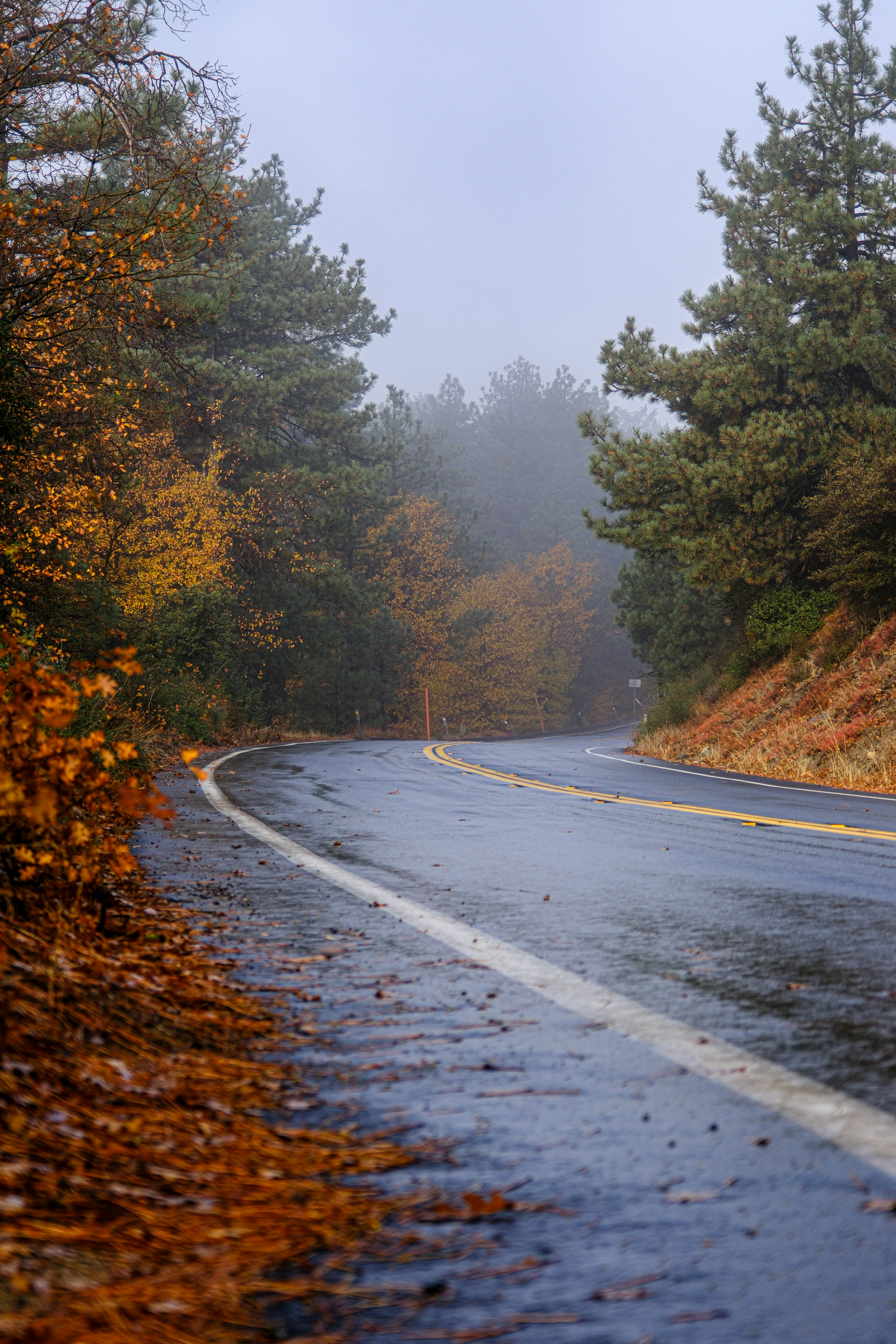 Photo by cestmoisheedy