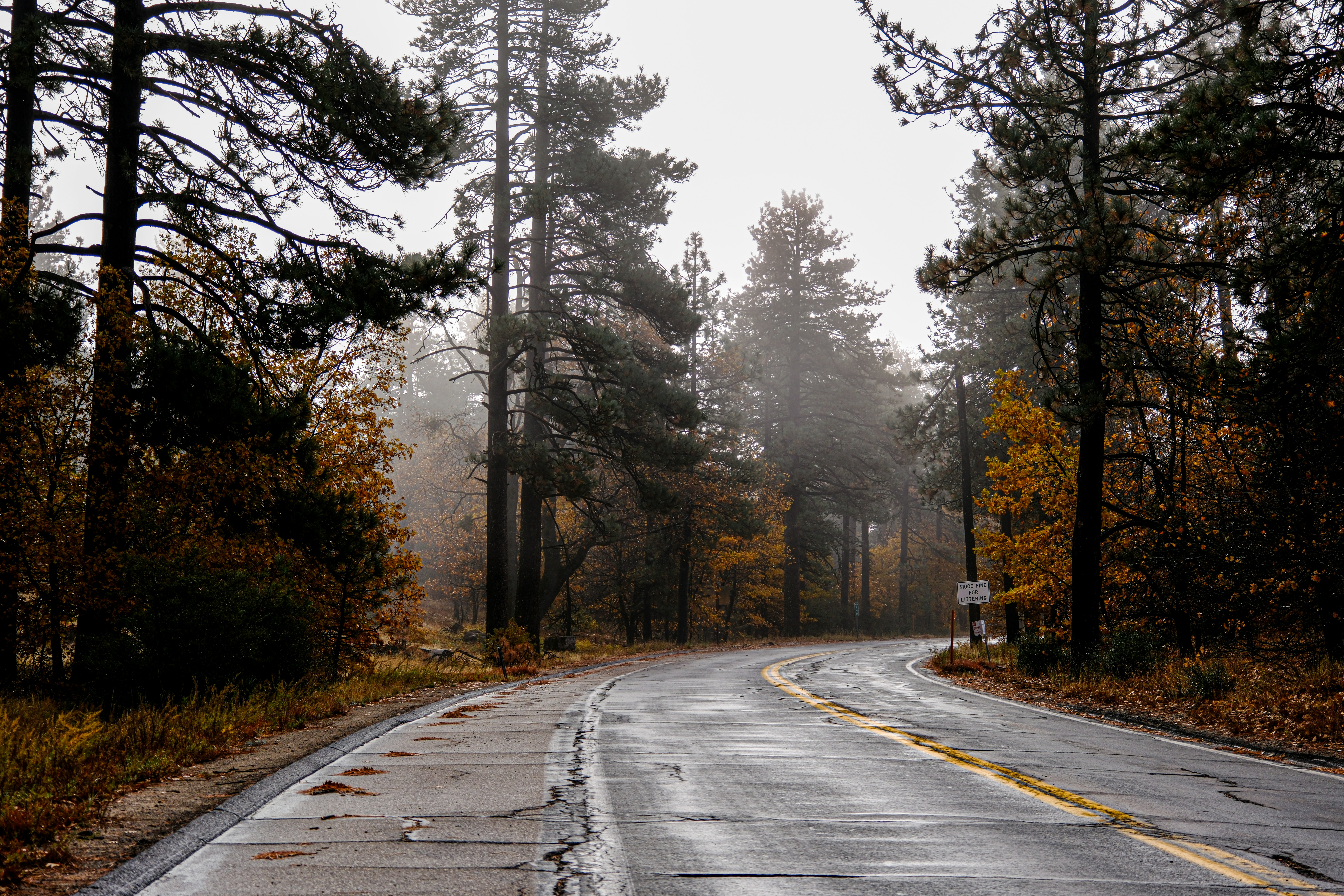 Photo by cestmoisheedy