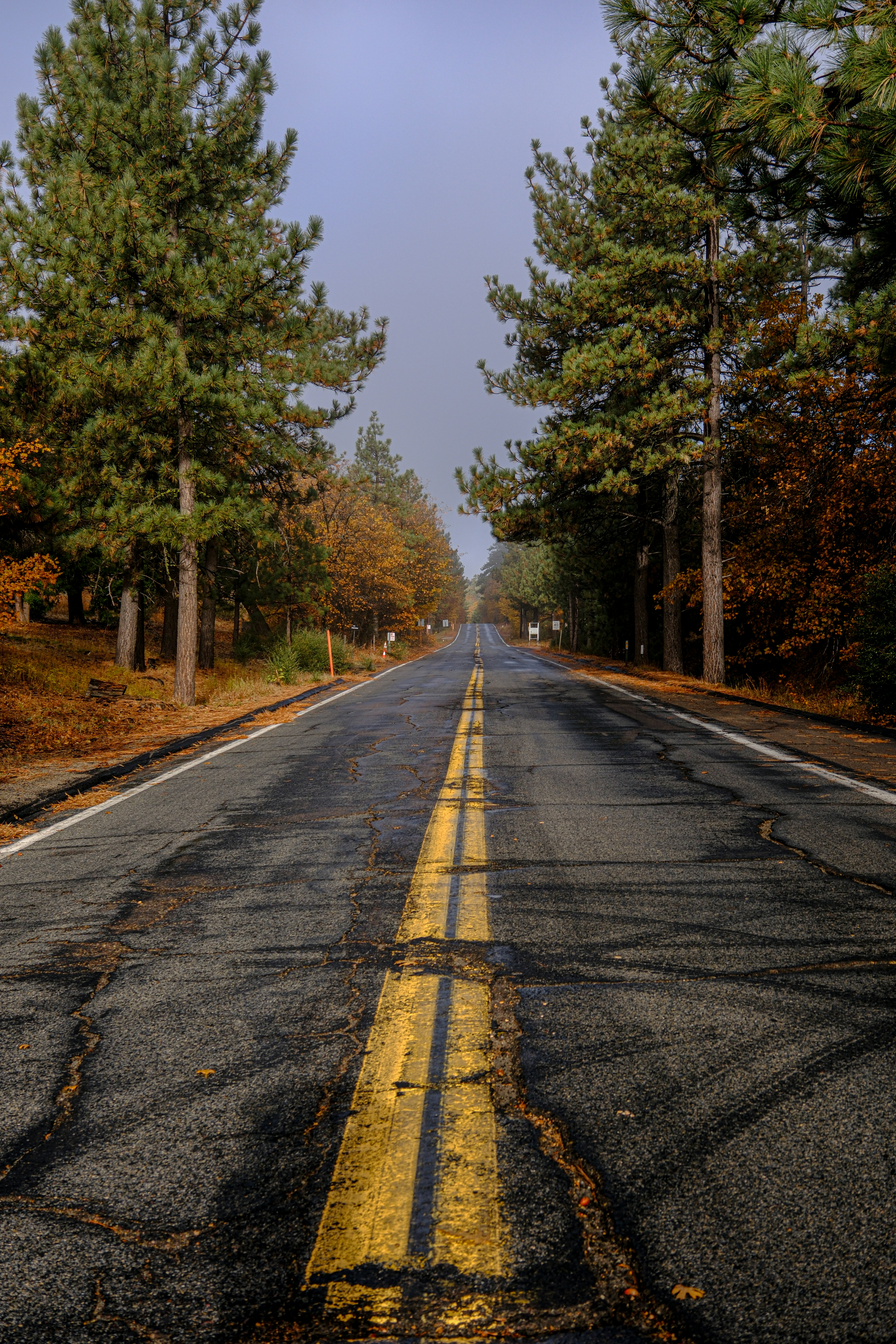 Photo by cestmoisheedy