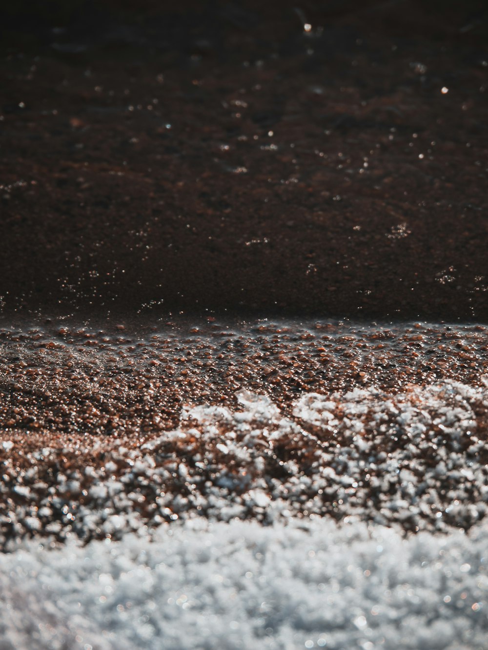 a bird standing on top of a sandy beach