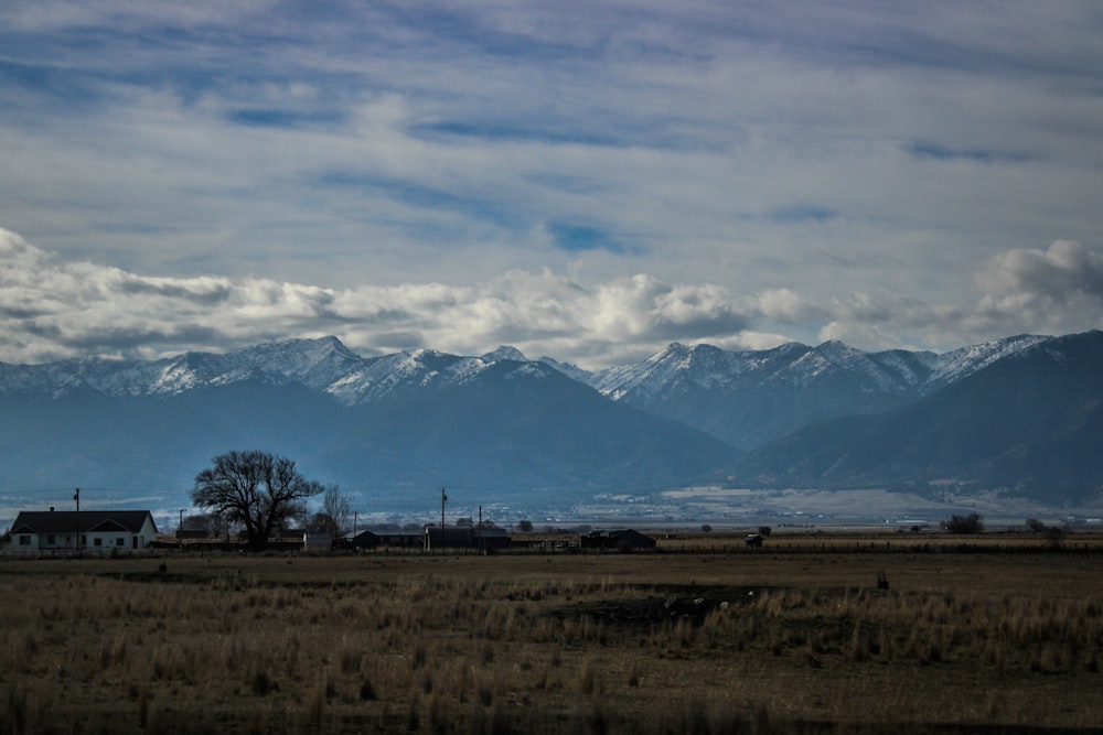 a field with a house and mountains in the background