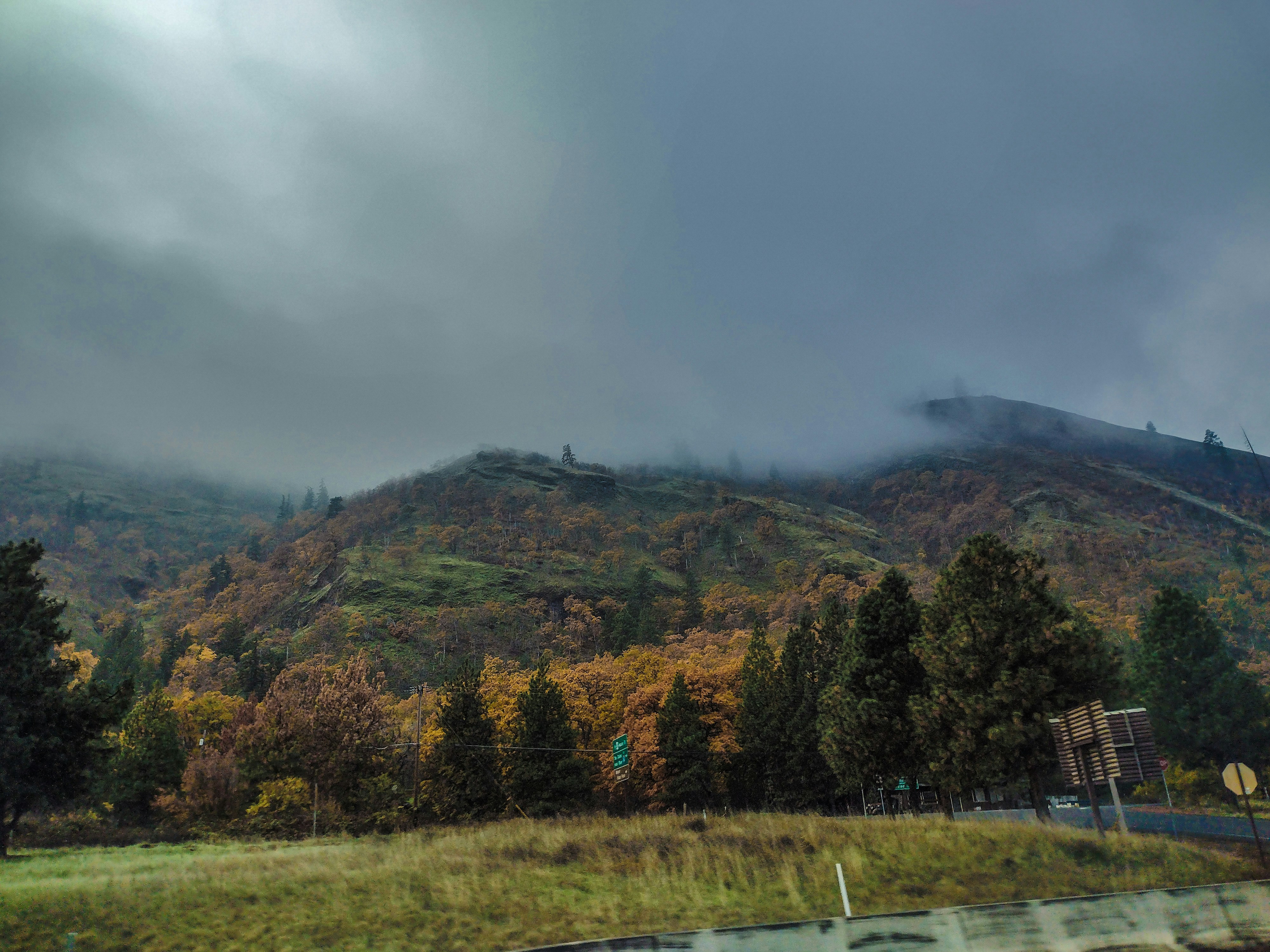 Mountain road through Japanese forest in autumn colors, dark moody overcast sky, misty atmosphere, deep shadows