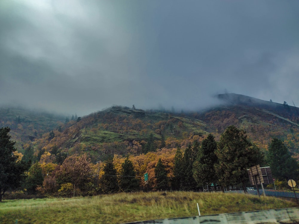 a mountain covered in clouds and trees