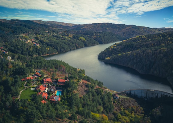 an aerial view of a lake surrounded by trees