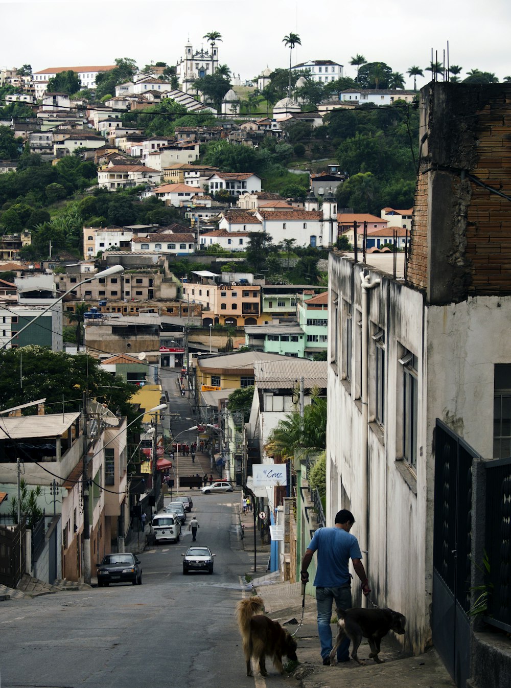 um homem passeando com dois cachorros por uma rua