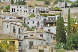 A hillside adorned with white Mediterranean-style houses featuring terracotta roof tiles. Several homes have small balconies with plants and satellite dishes. Tall cypress trees and a palm tree add greenery, while the background consists of more houses and a rustic stone wall.