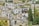 A hillside adorned with white Mediterranean-style houses featuring terracotta roof tiles. Several homes have small balconies with plants and satellite dishes. Tall cypress trees and a palm tree add greenery, while the background consists of more houses and a rustic stone wall.