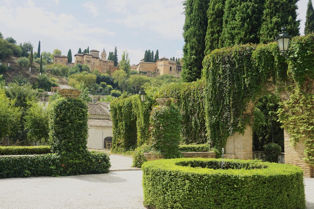 Un jardín con muchos árboles y arbustos