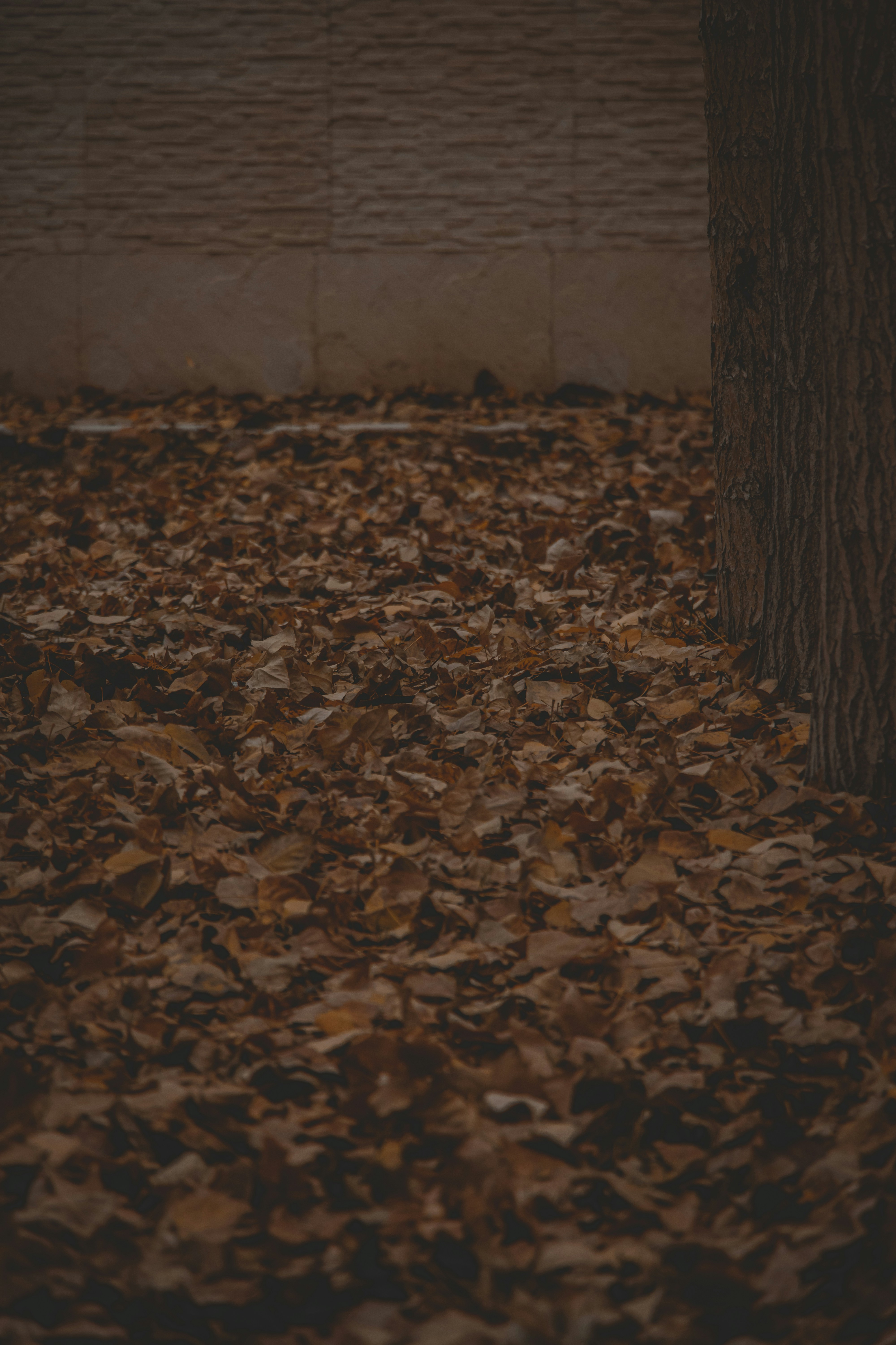 Photo by s_arshia_nzm