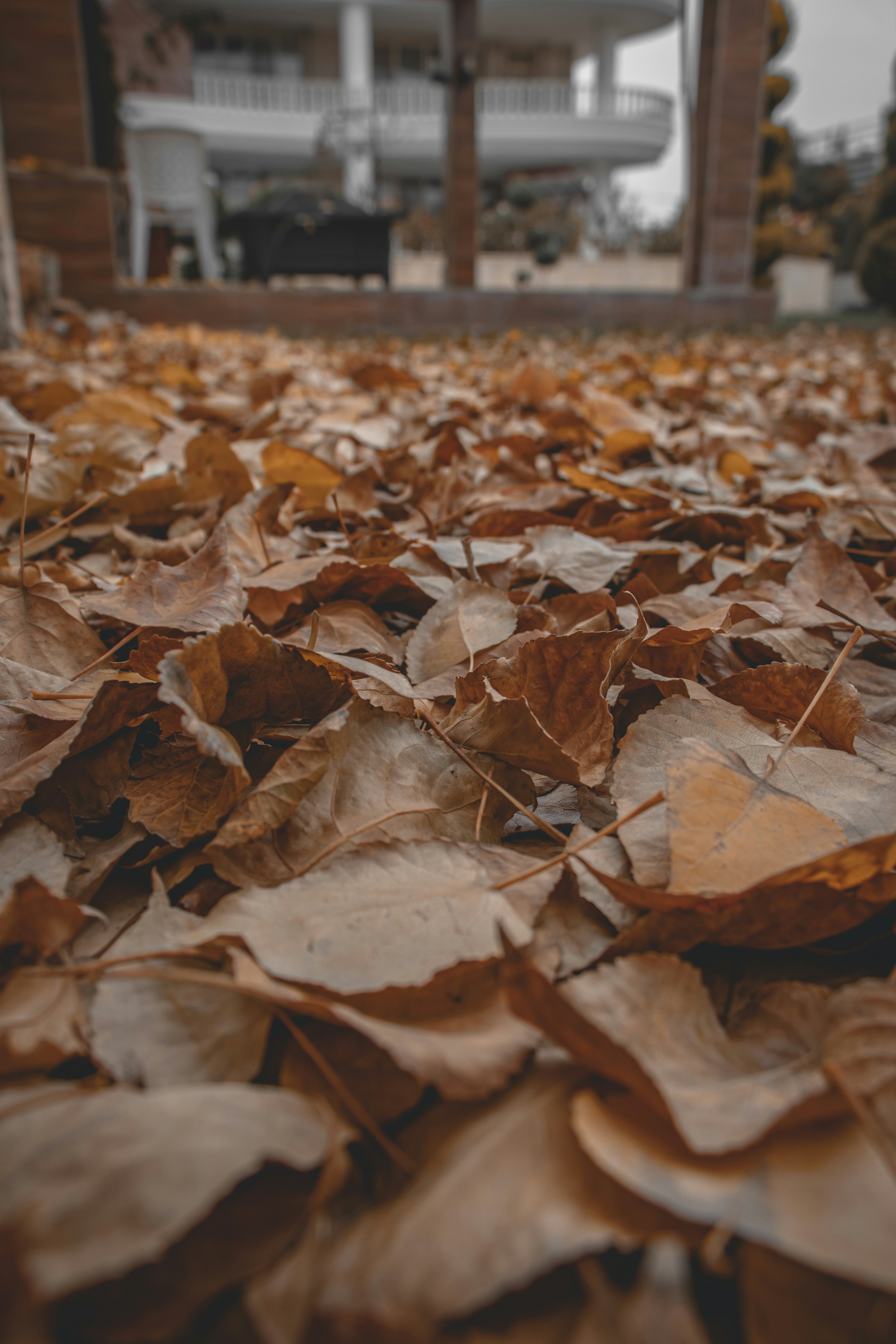 Photo by s_arshia_nzm