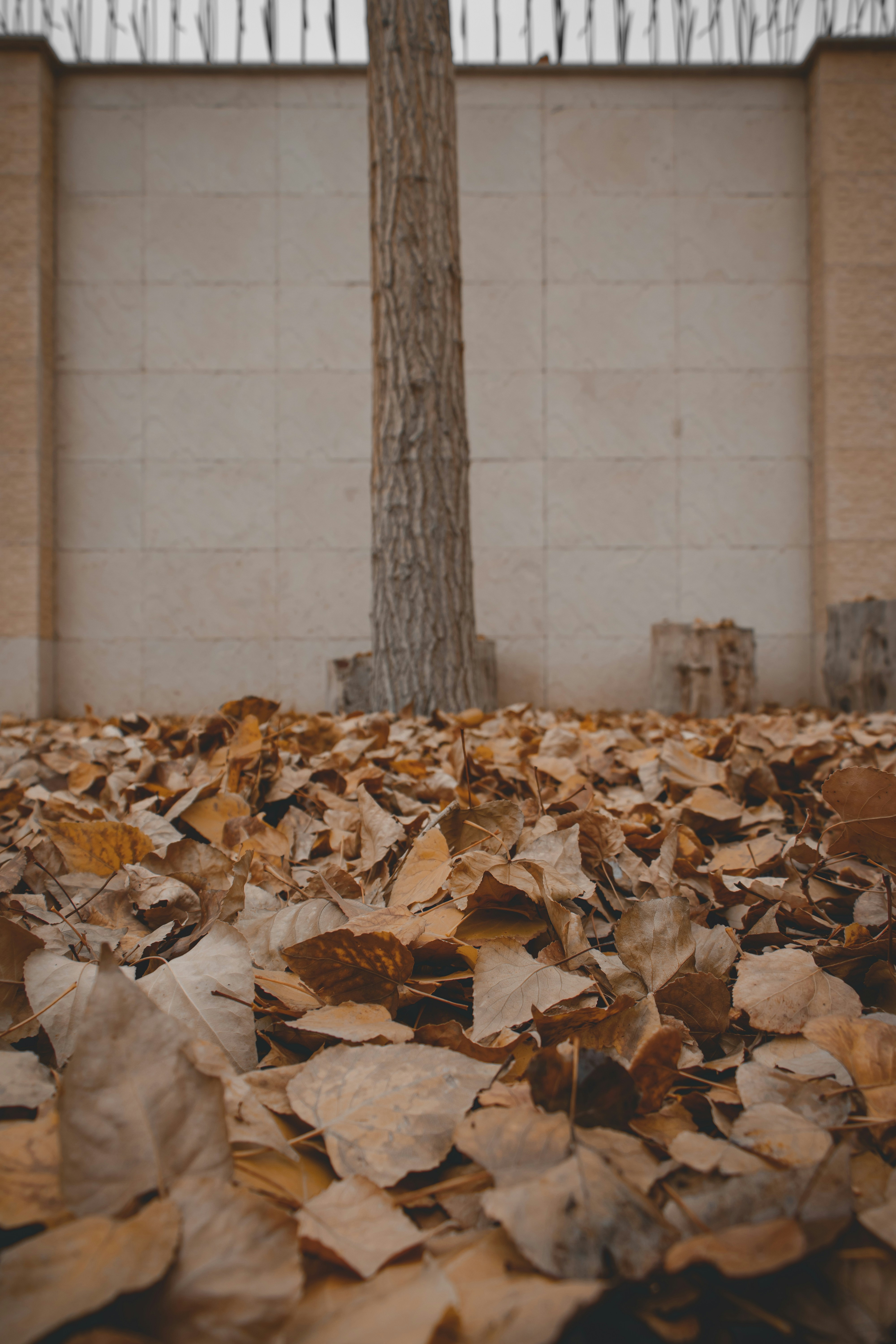 minimalist fall layers, wallpaper, Long Sleeve Tees: Styling for Perfect Layers 6