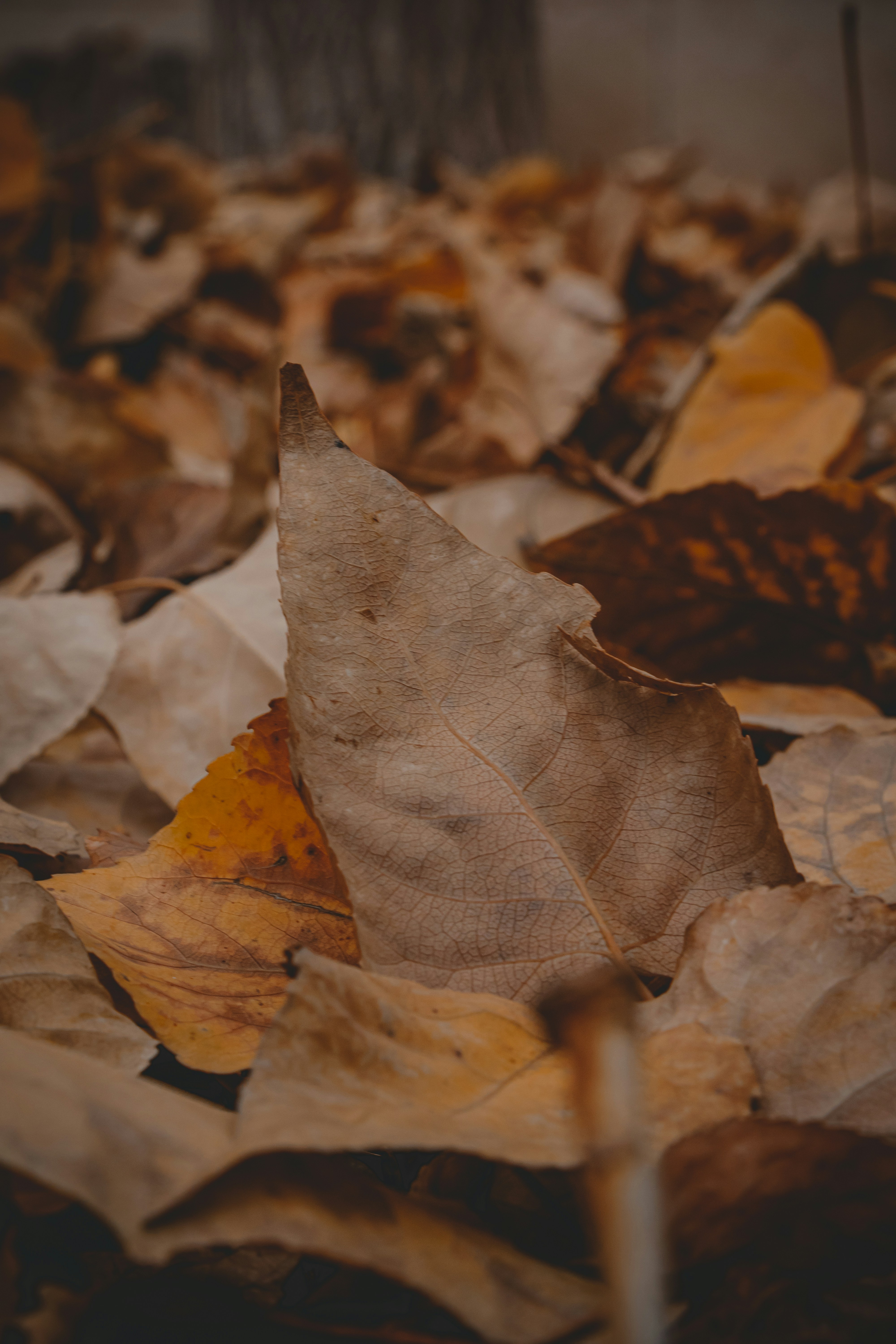 Photo by s_arshia_nzm