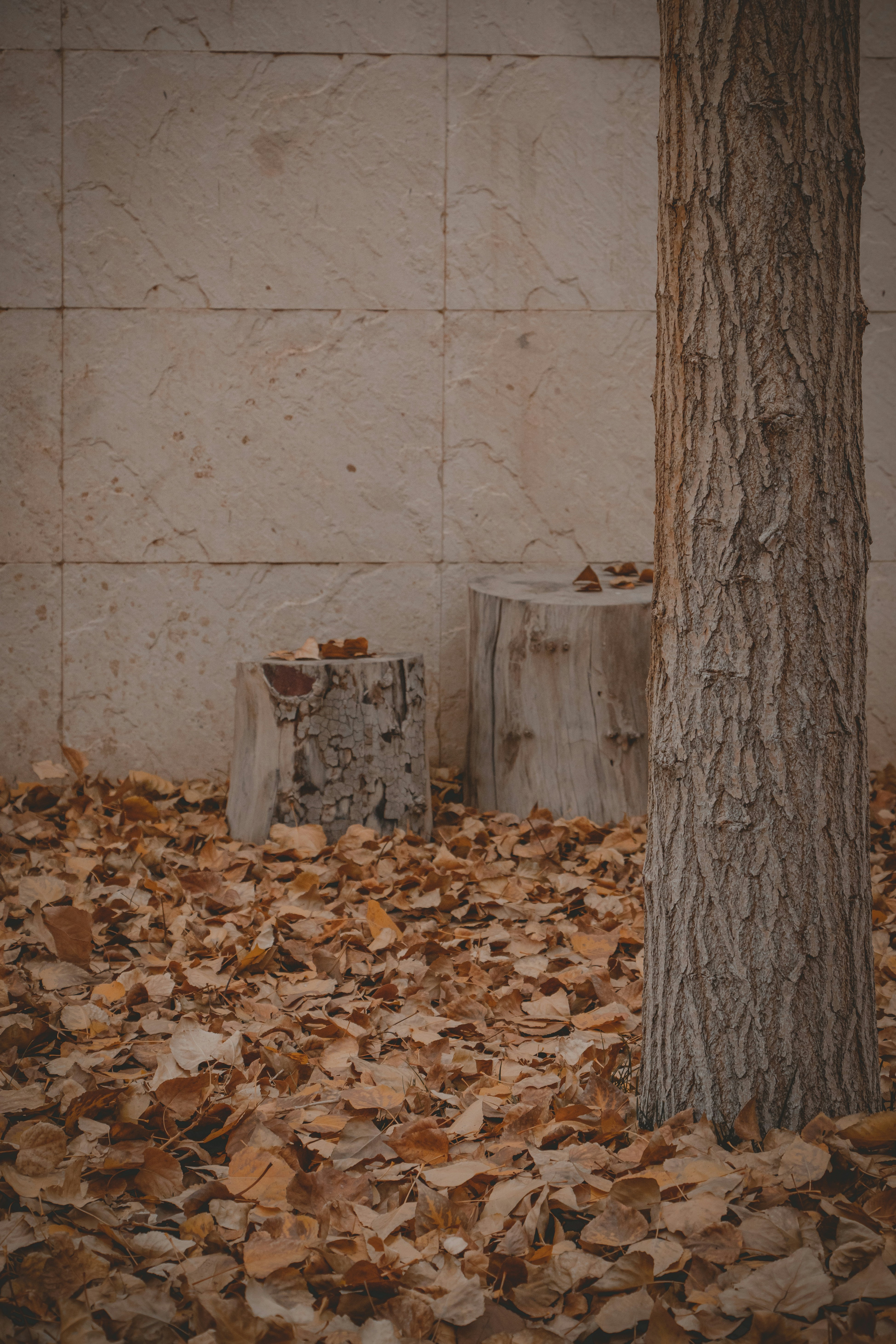 Photo by s_arshia_nzm