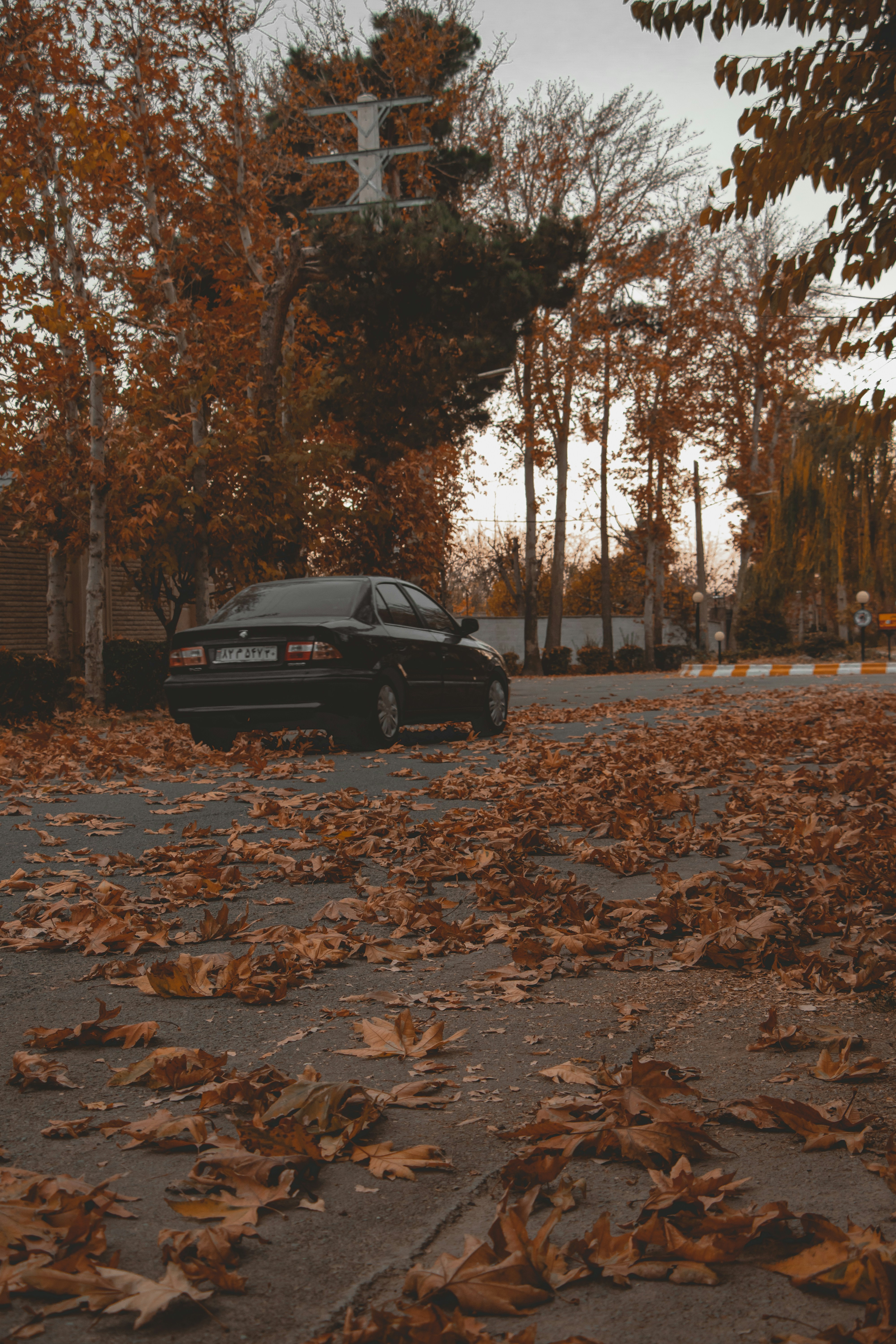 Photo by s_arshia_nzm