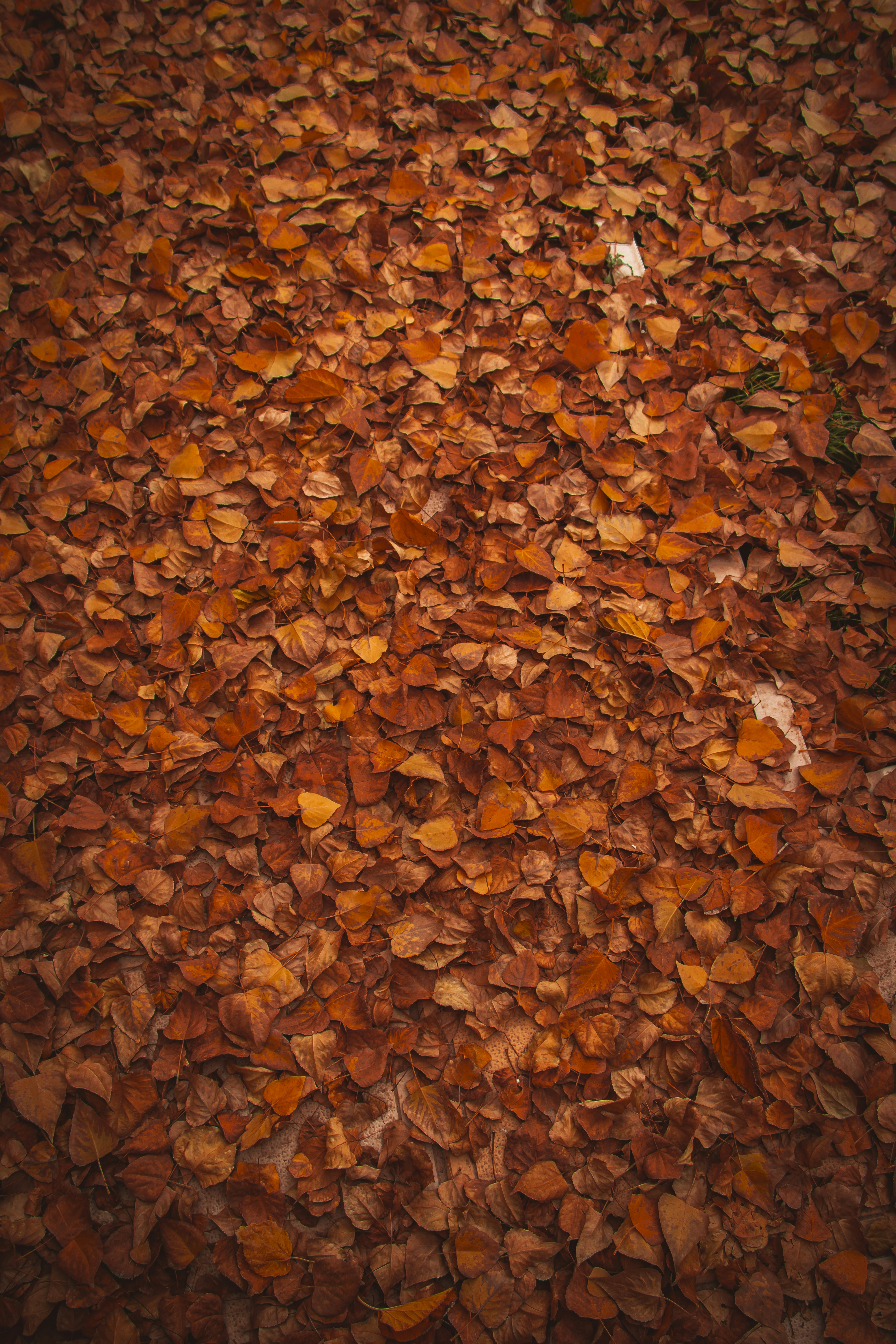 Photo by s_arshia_nzm