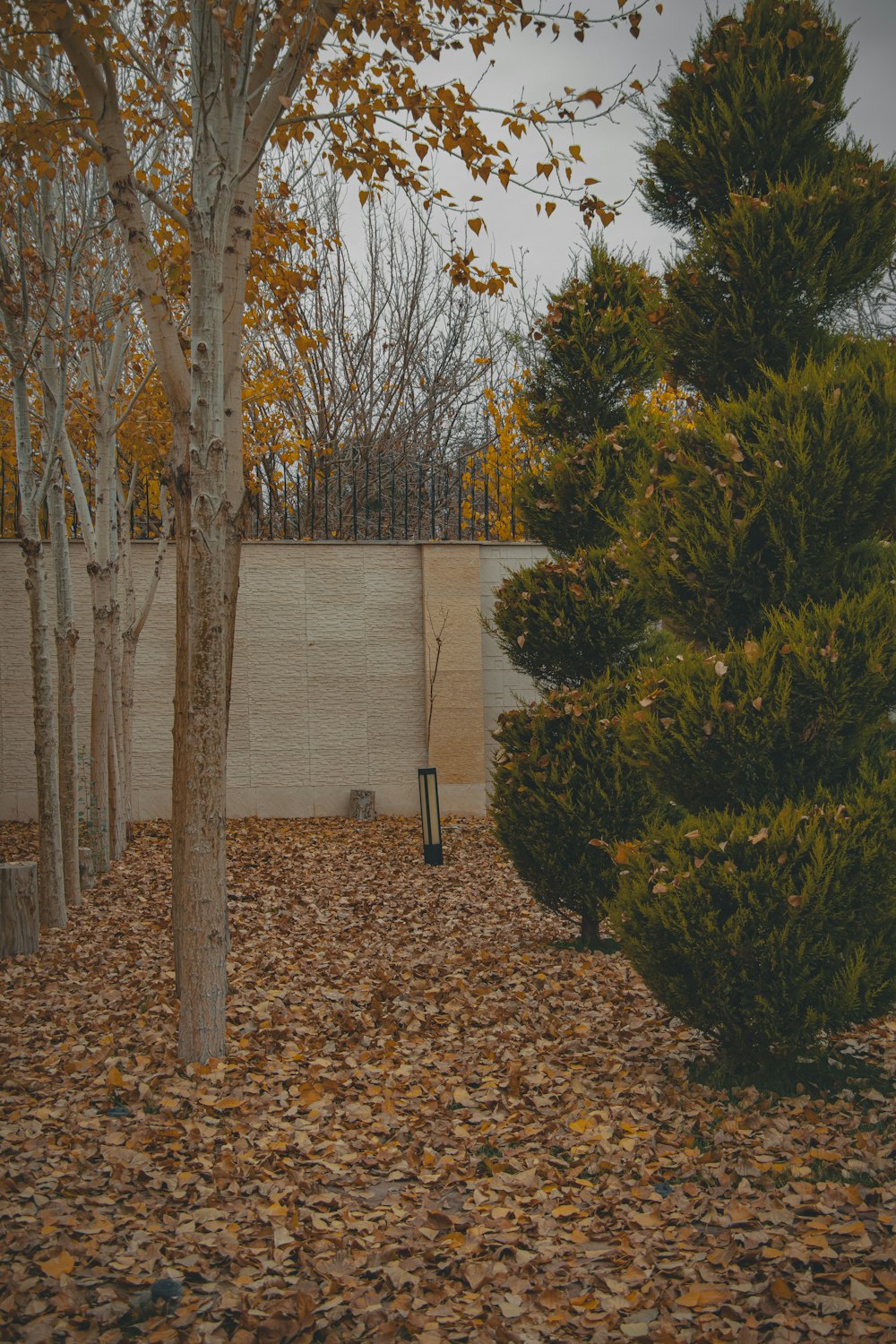 a bench in the middle of a leaf covered yard