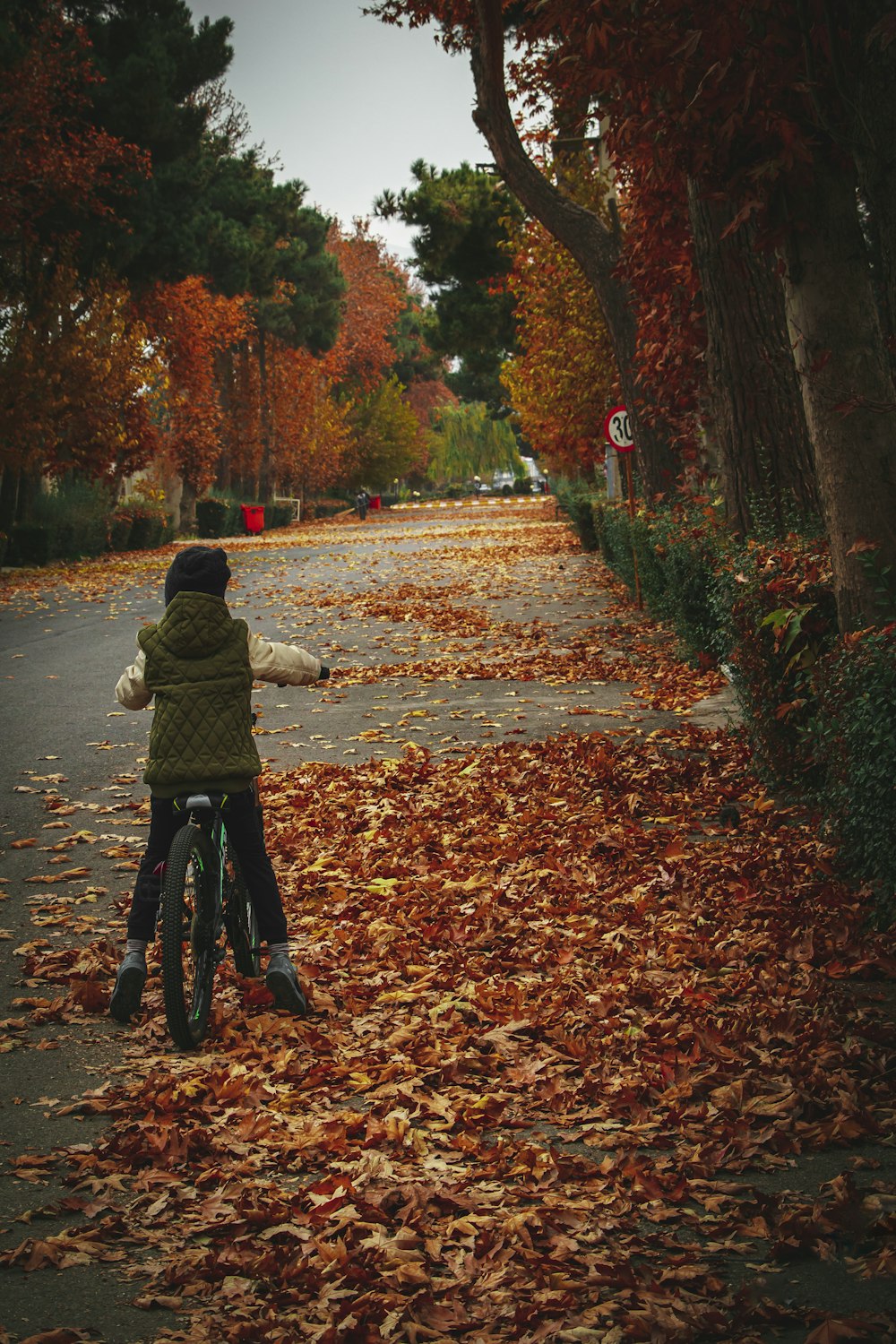 a person riding a bike down a leaf covered road