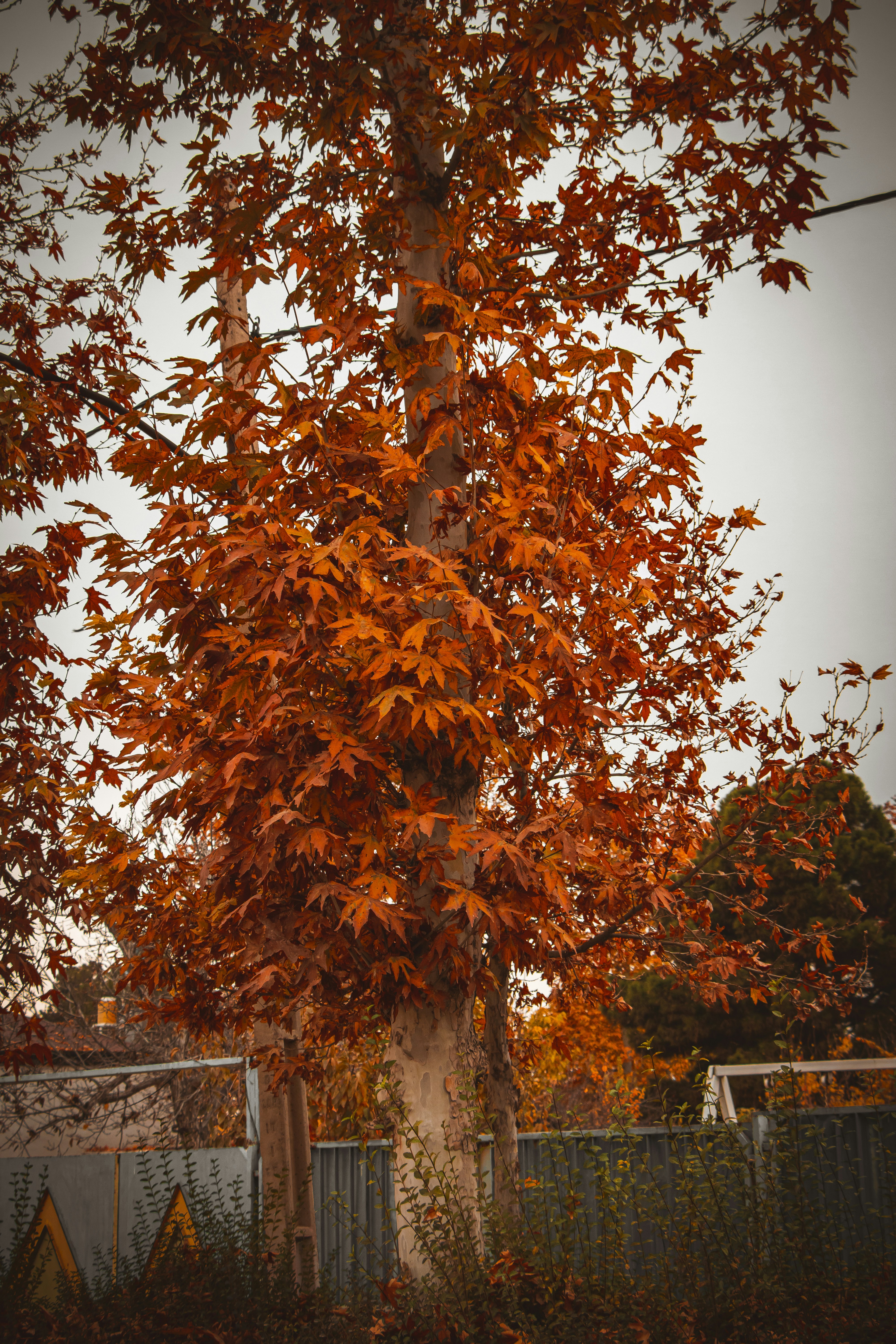 Photo by s_arshia_nzm