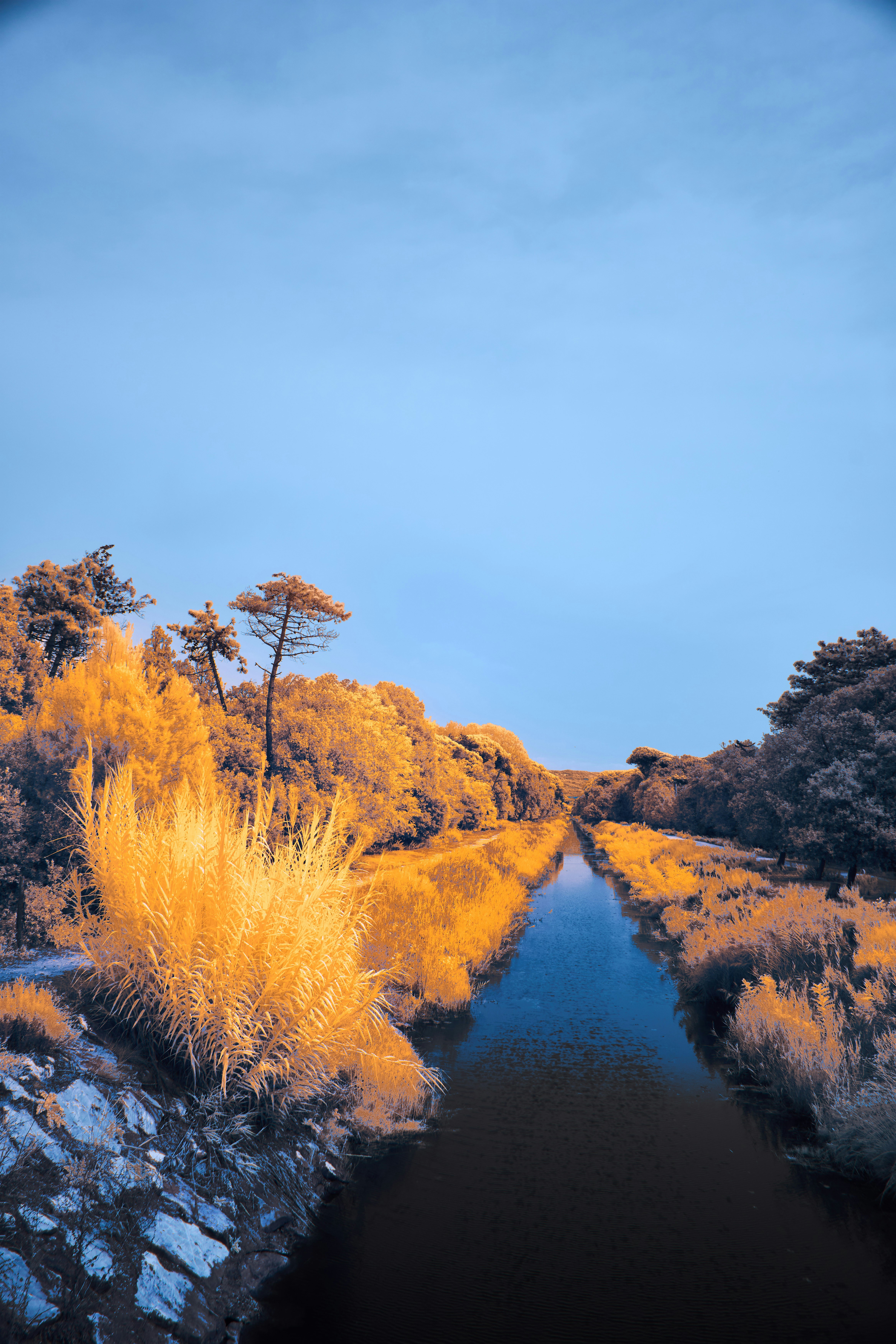 Photo by wolfgang_hasselmann