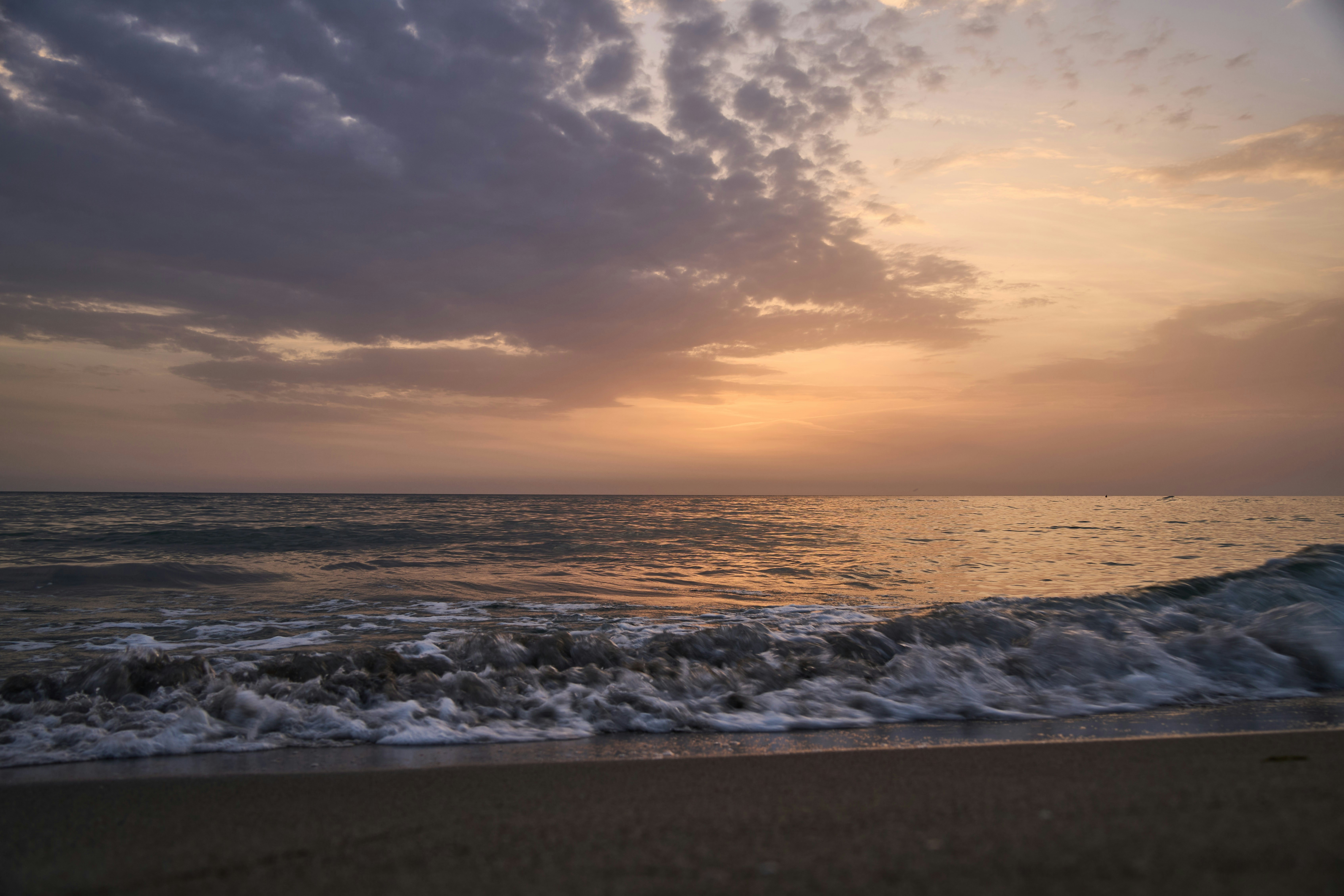 Photo by wolfgang_hasselmann