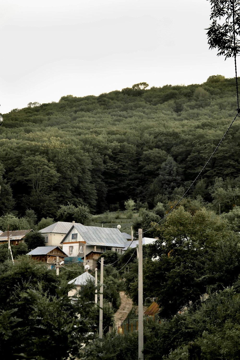 a house on a hill surrounded by trees