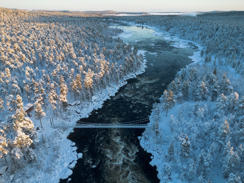 un río que corre a través de un bosque cubierto de nieve