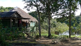 A rustic wooden house with a thatched roof is nestled among dense green foliage. The structure is elevated on stilts and surrounded by abundant vegetation, including tall trees and various shrubs. A person stands on the house's porch, looking out towards a serene river flowing in the background.