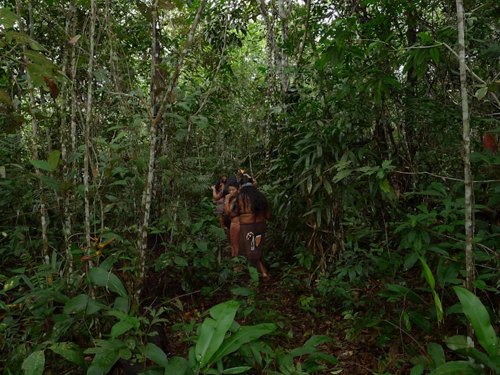 A group of indigenous people with long hair is seen walking through a dense, lush green forest filled with various types of plants and trees. The forest floor is covered with leaves, and the area is rich in vegetation.