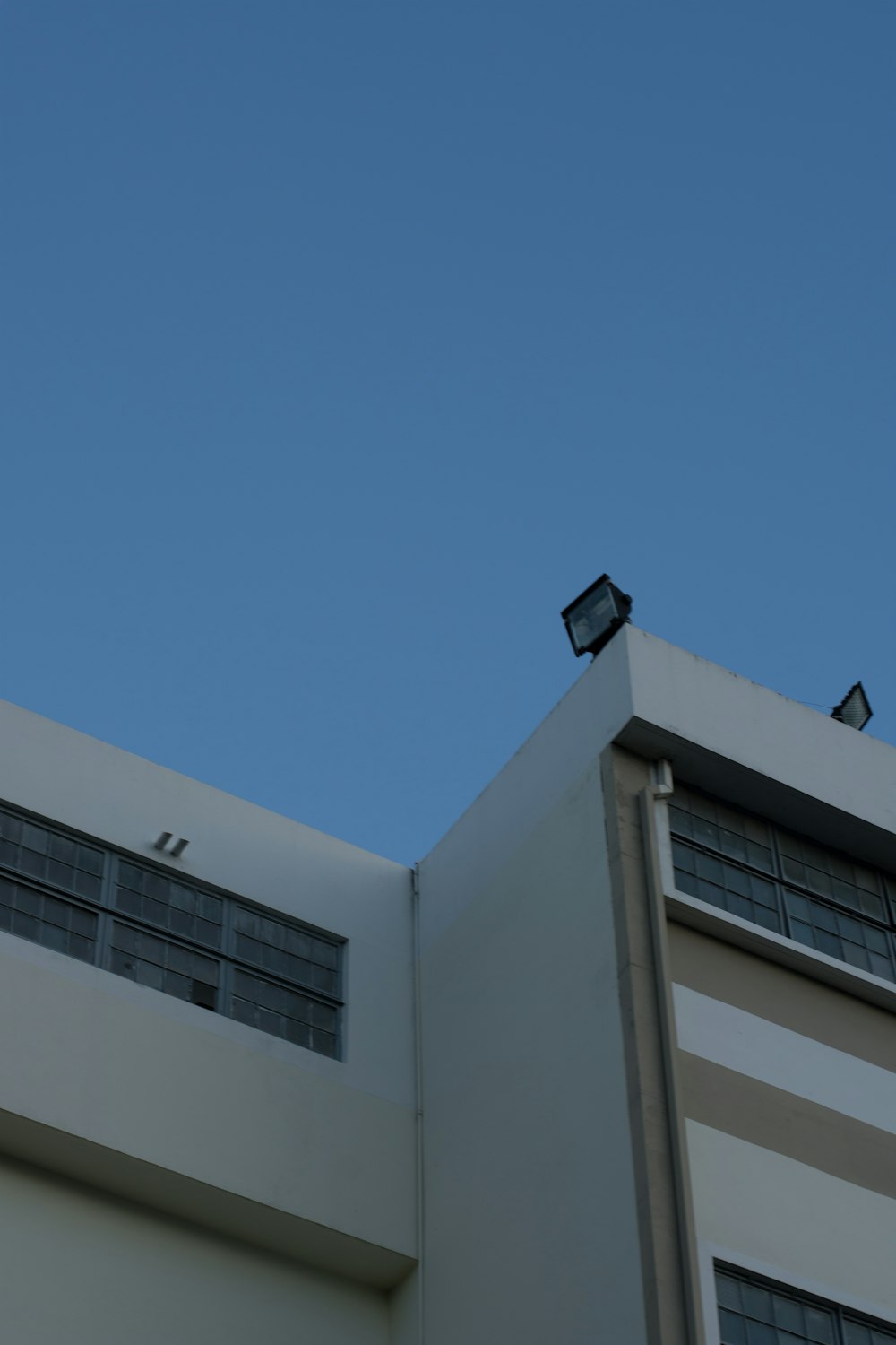 a bird is perched on top of a building